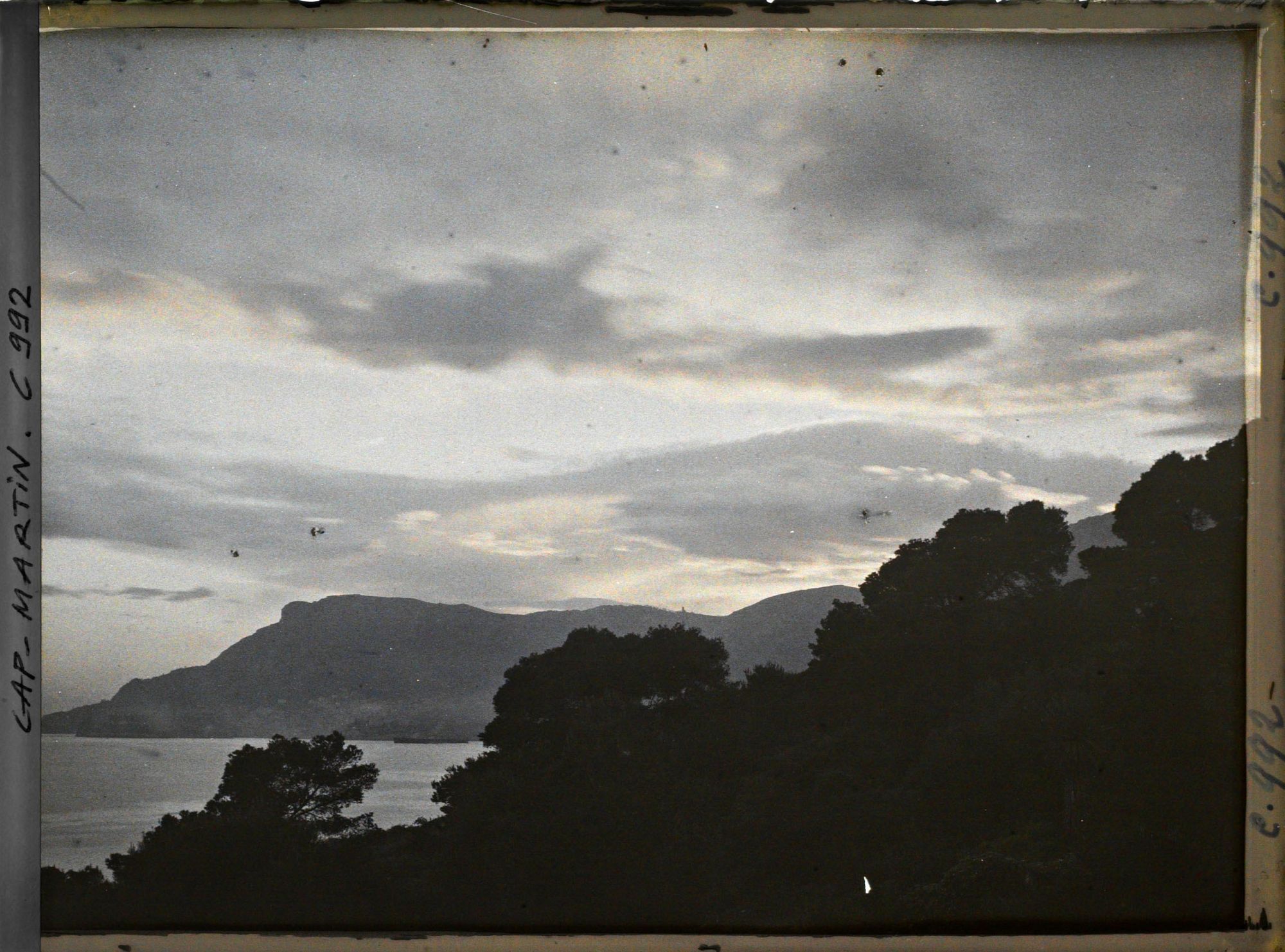 Image représentant Ligne d'arbres vue à contre-jour, en direction de Monaco, non loin de la villa Kahn dite villa Zamir