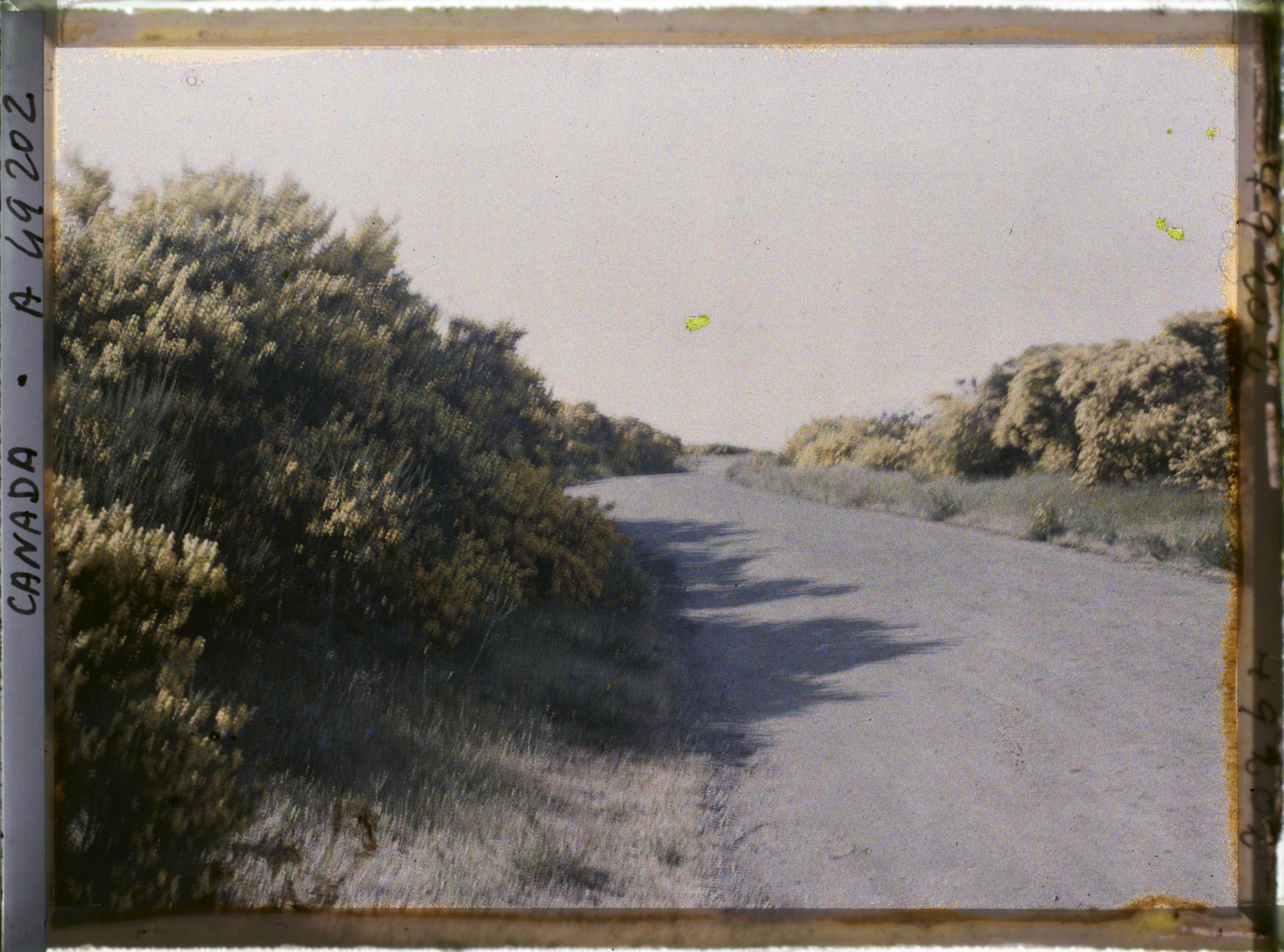 Image représentant Canada, Victoria, Beaconhill parc, autre vue