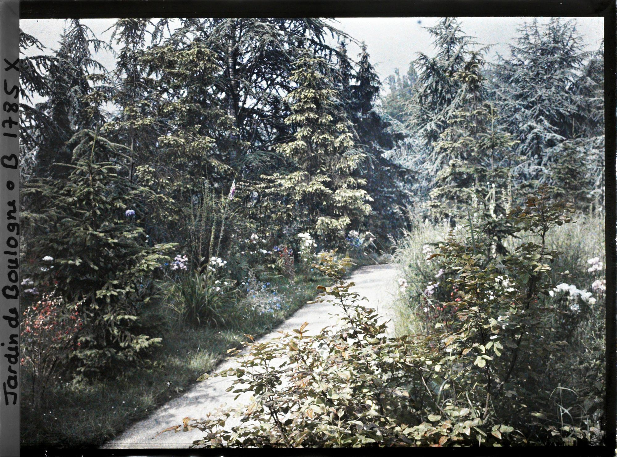 Image représentant La prairie et la forêt dorée