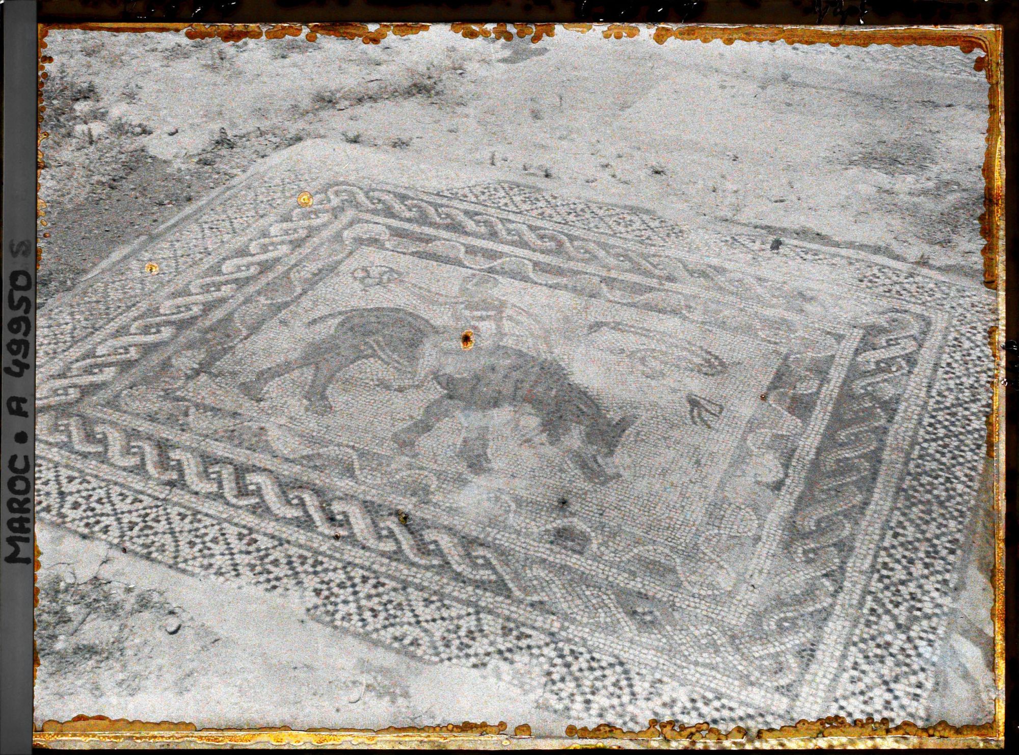 Image représentant Mosaïque de la maison au Desultor