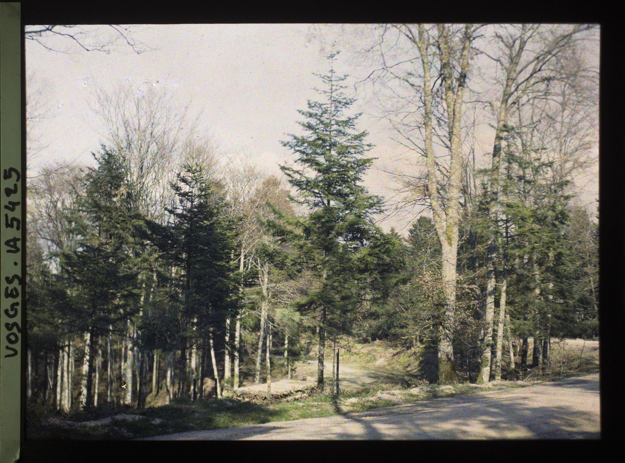 Image représentant Tranchées abris