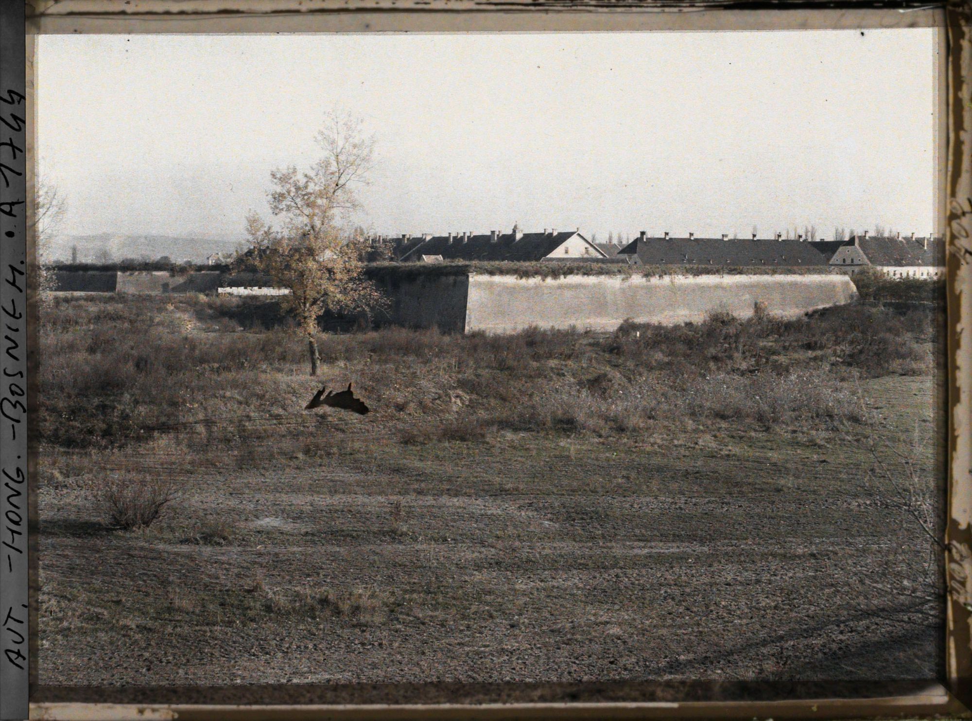 Image représentant Les casernes et les fortifications de Brod