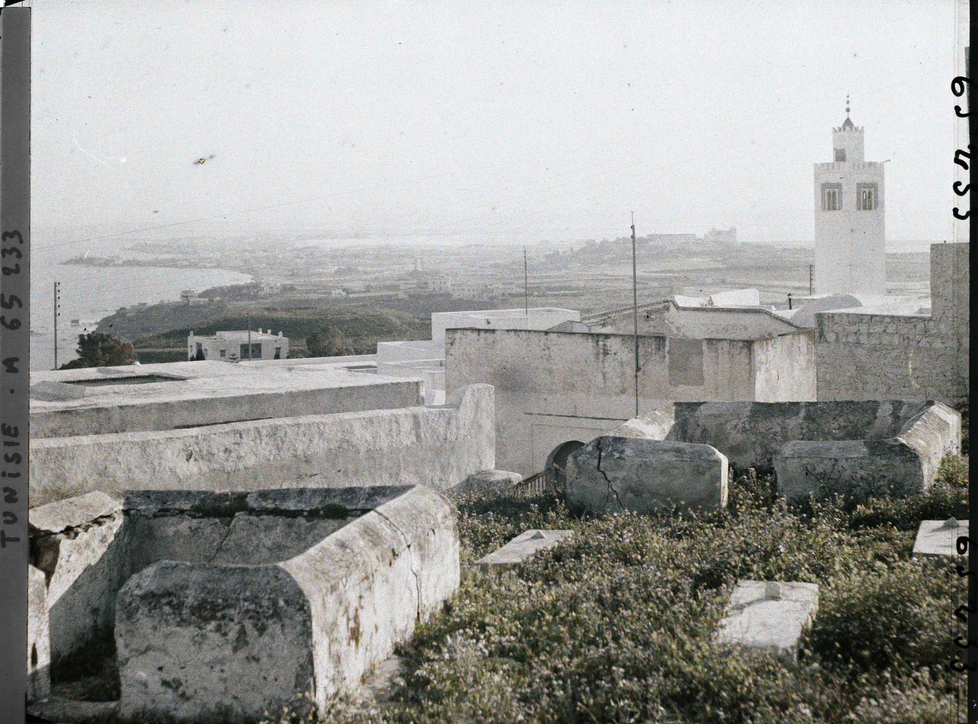 Image représentant Le village, avec le minaret de la mosquée; vue vers Carthage prise depuis une terrasse