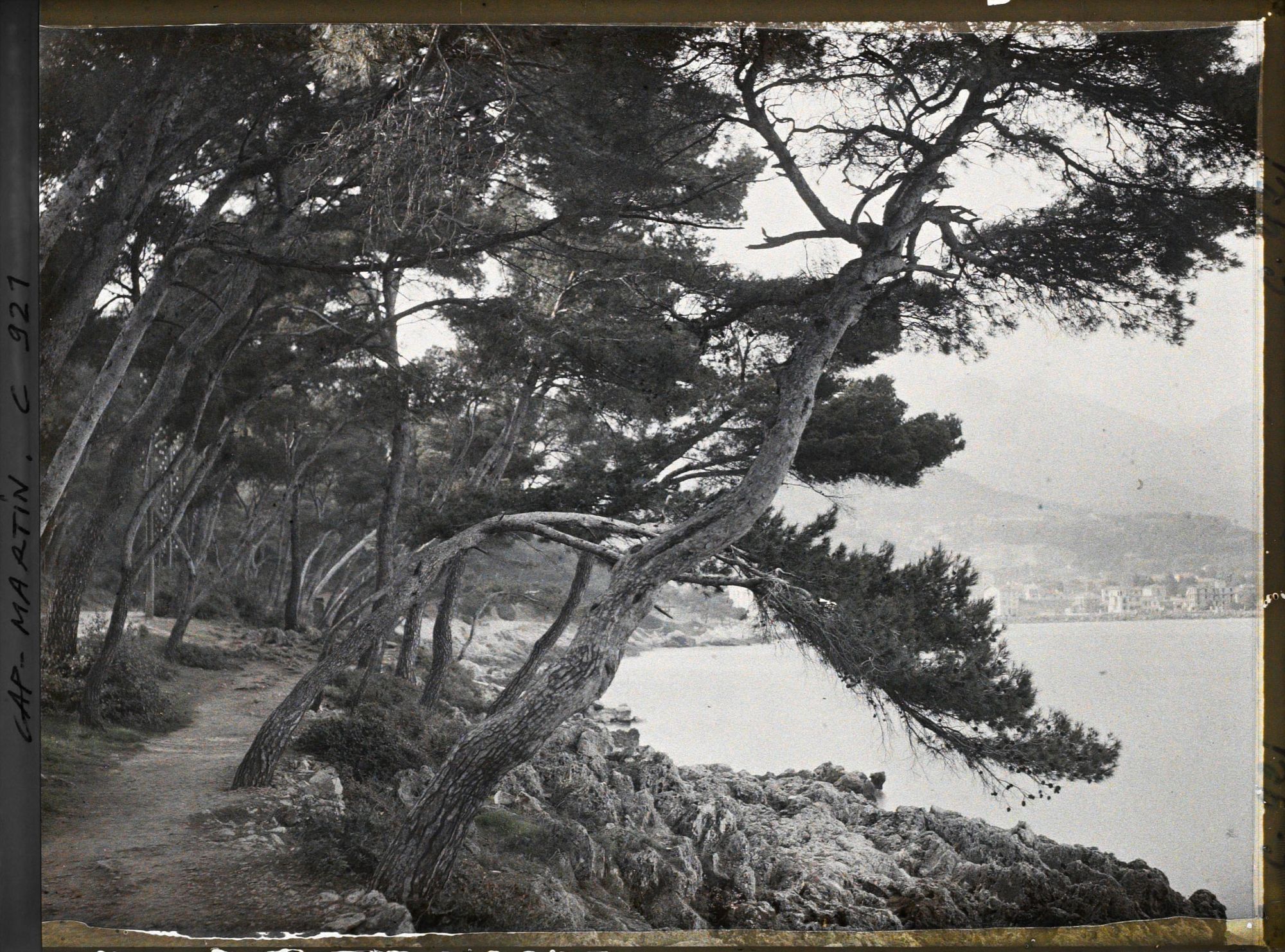 Image représentant Bords de la mer vers Menton
