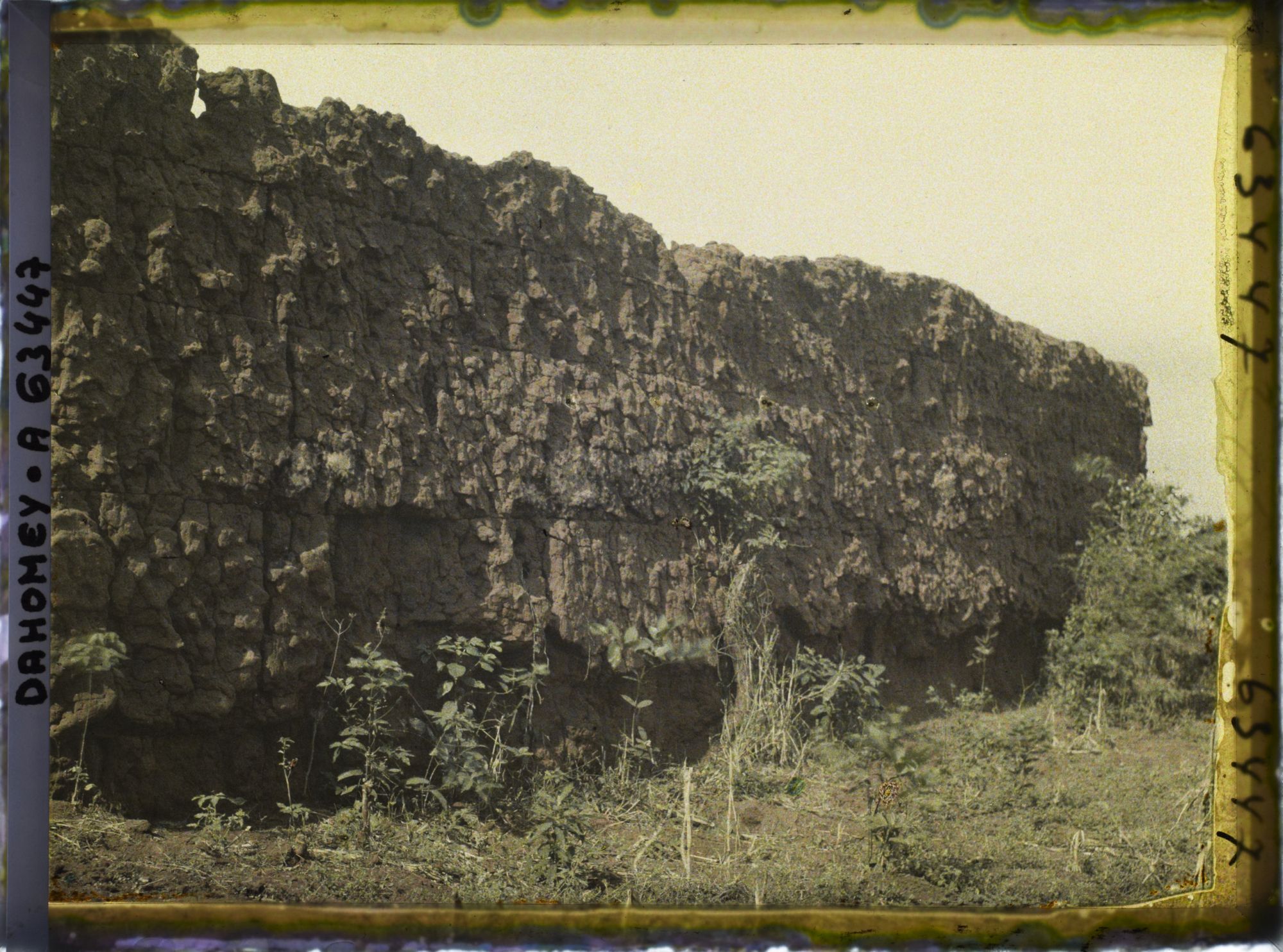 Image représentant Mur d'enceinte du jardin de  null Guézo