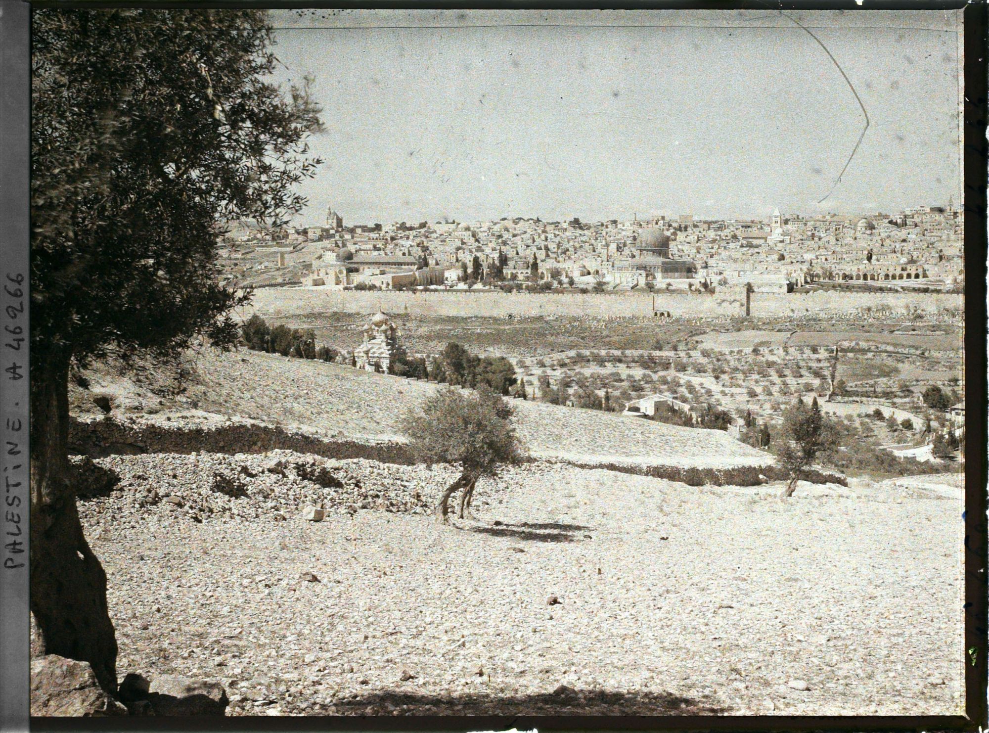 Image représentant Panorama de la ville vue du Mont des Oliviers