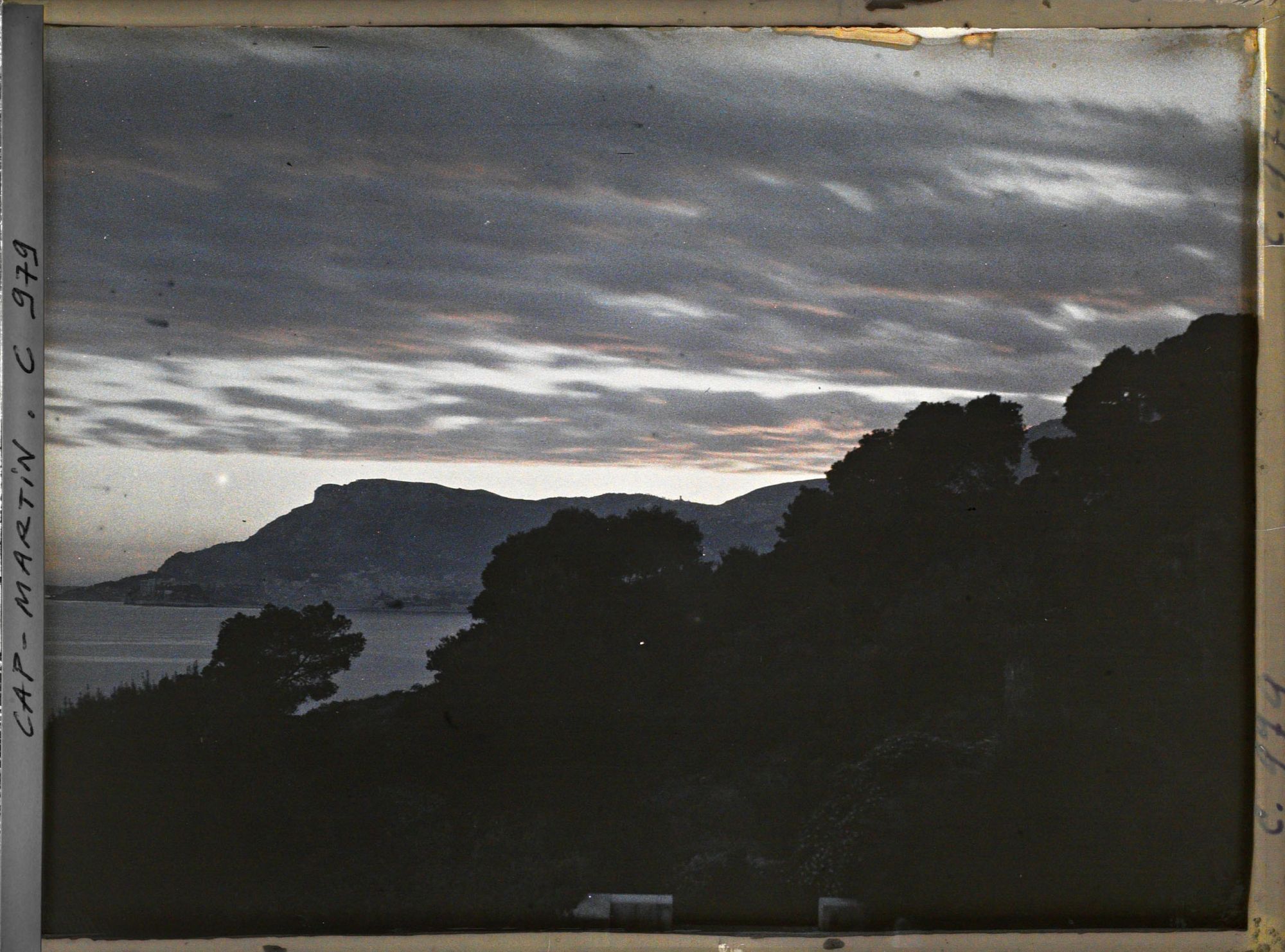 Image représentant Ligne arborée près de la villa Kahn, dite villa Zamir, se découpant à contre-jour vers Monaco