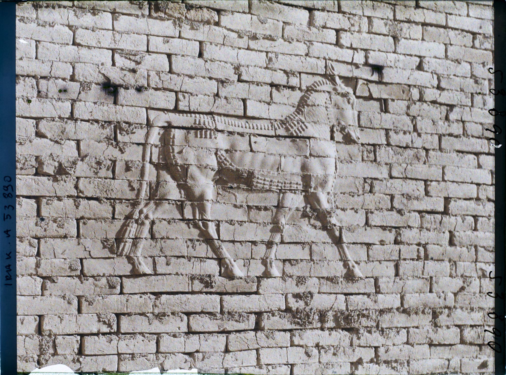 Image représentant Porte d'Ishtar : le taureau symbole d'Adad le dieu de l'orage