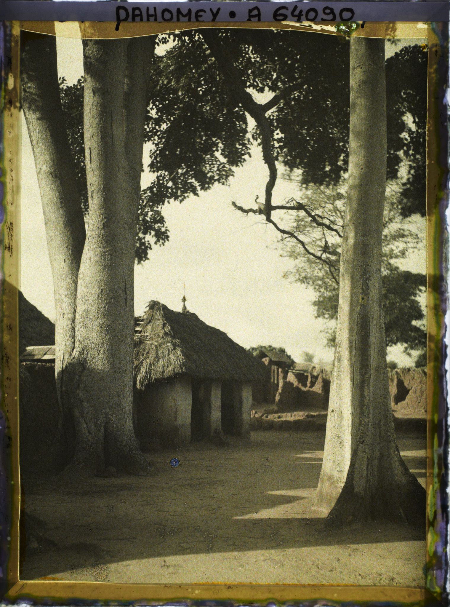 Image représentant Cases de fétiches dans le village indigène