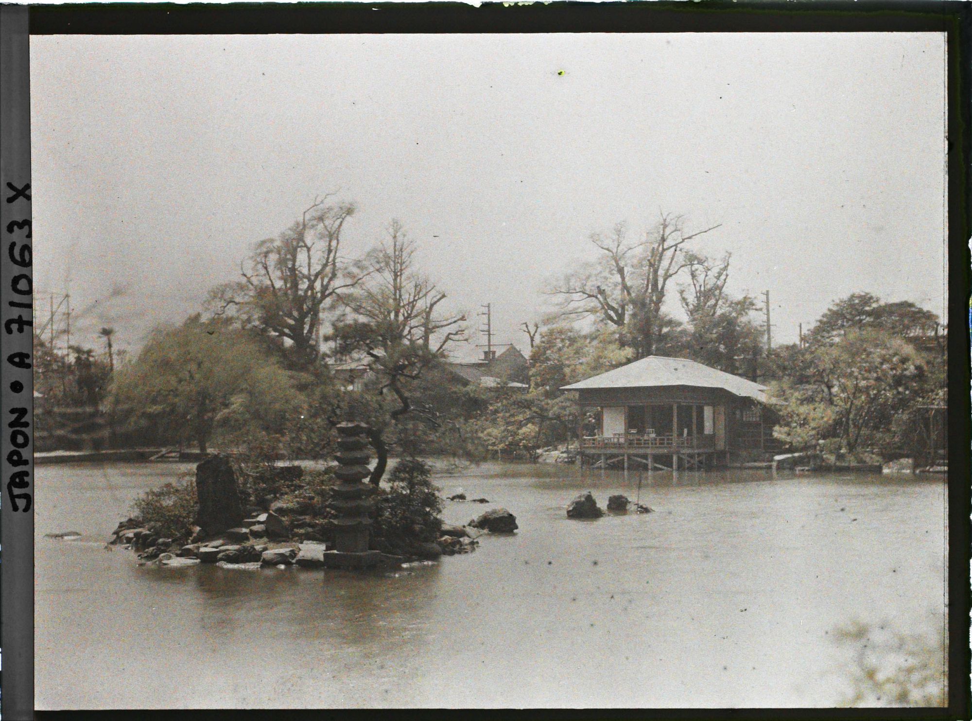 Image représentant Jardin ou parc