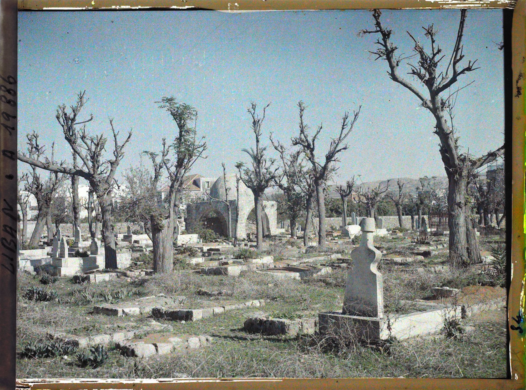 Image représentant Le cimetière musulman