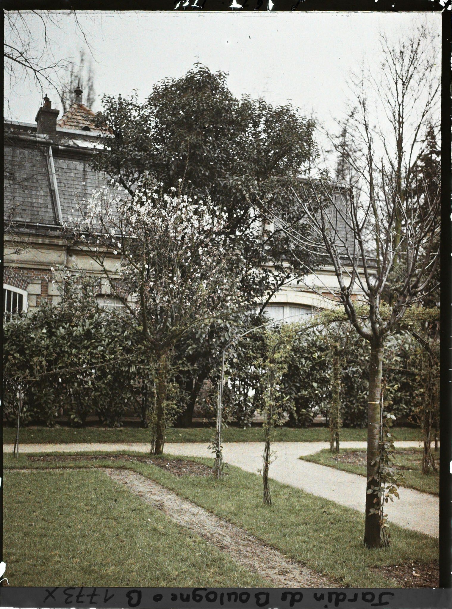 Image représentant Fin de l'axe central du verger-roseraie croisant l'allée qui longe la dépendance