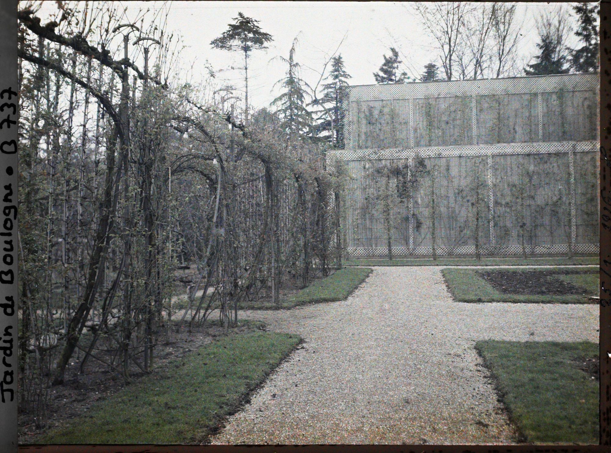 Image représentant Allée du jardin français jouxtant le verger-roseraie, en direction de la serre