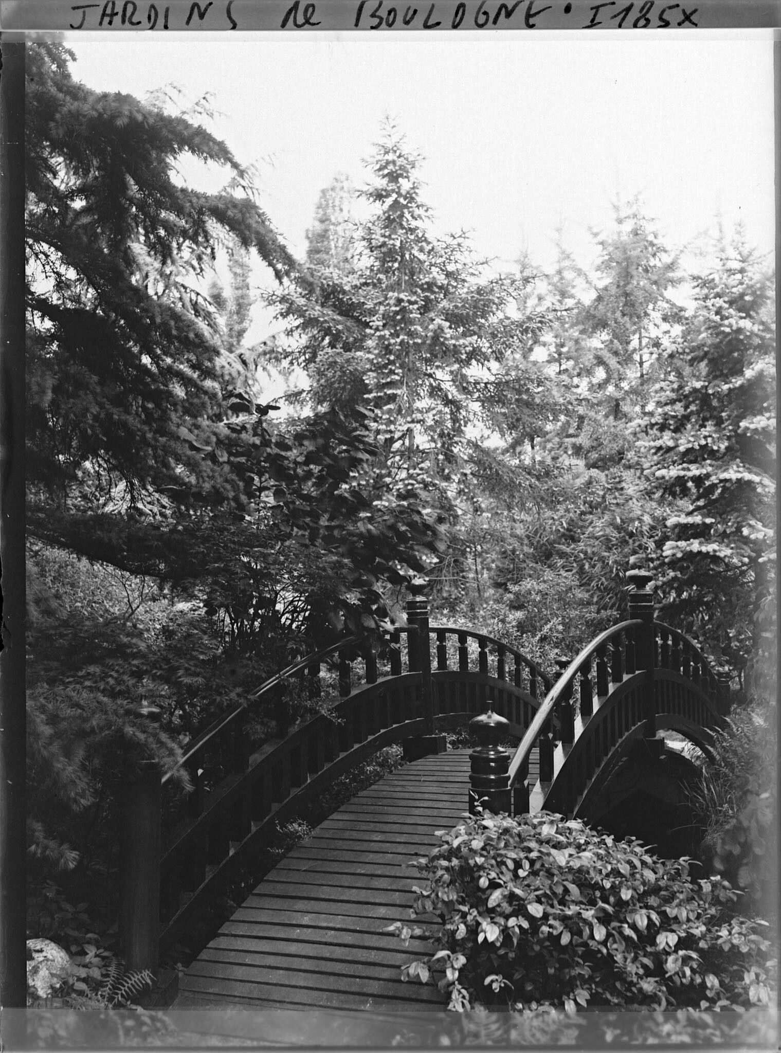 Image représentant Pont rouge du " sanctuaire japonais " blotti dans son environnement arboré