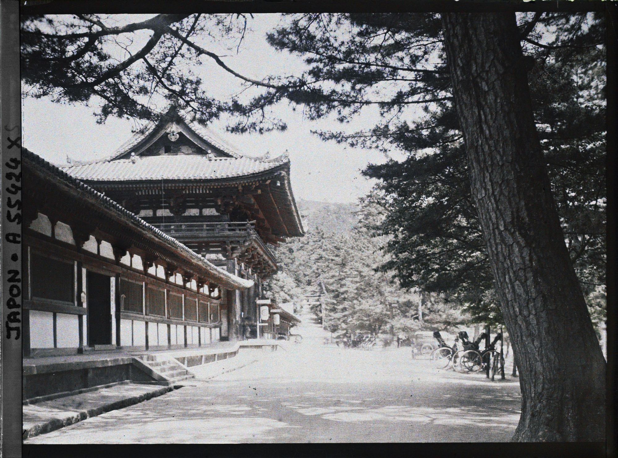 Image représentant Temple Tôdai-ji : la Porte intérieure (chûmon) et l'enceinte (kairô)