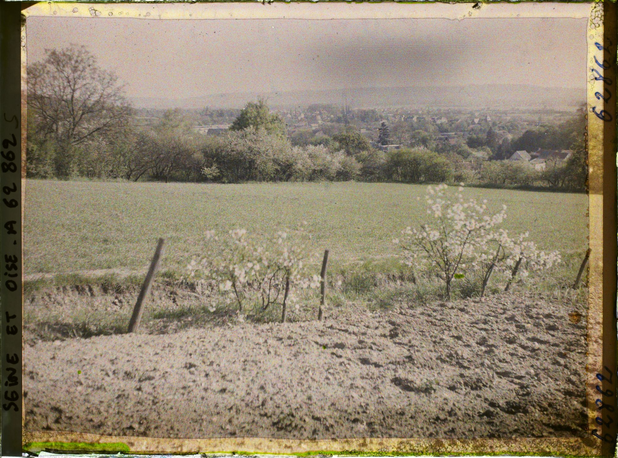 Image représentant Seine et Oise, St Nom la Bretèche, Cerisiers sauvages, champ de blé et, dans le fond, le village