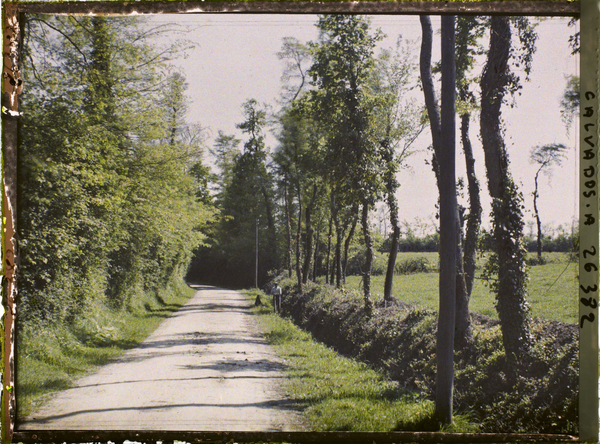 Image représentant Route de Saint-Clément à Grandcamp-Maisy