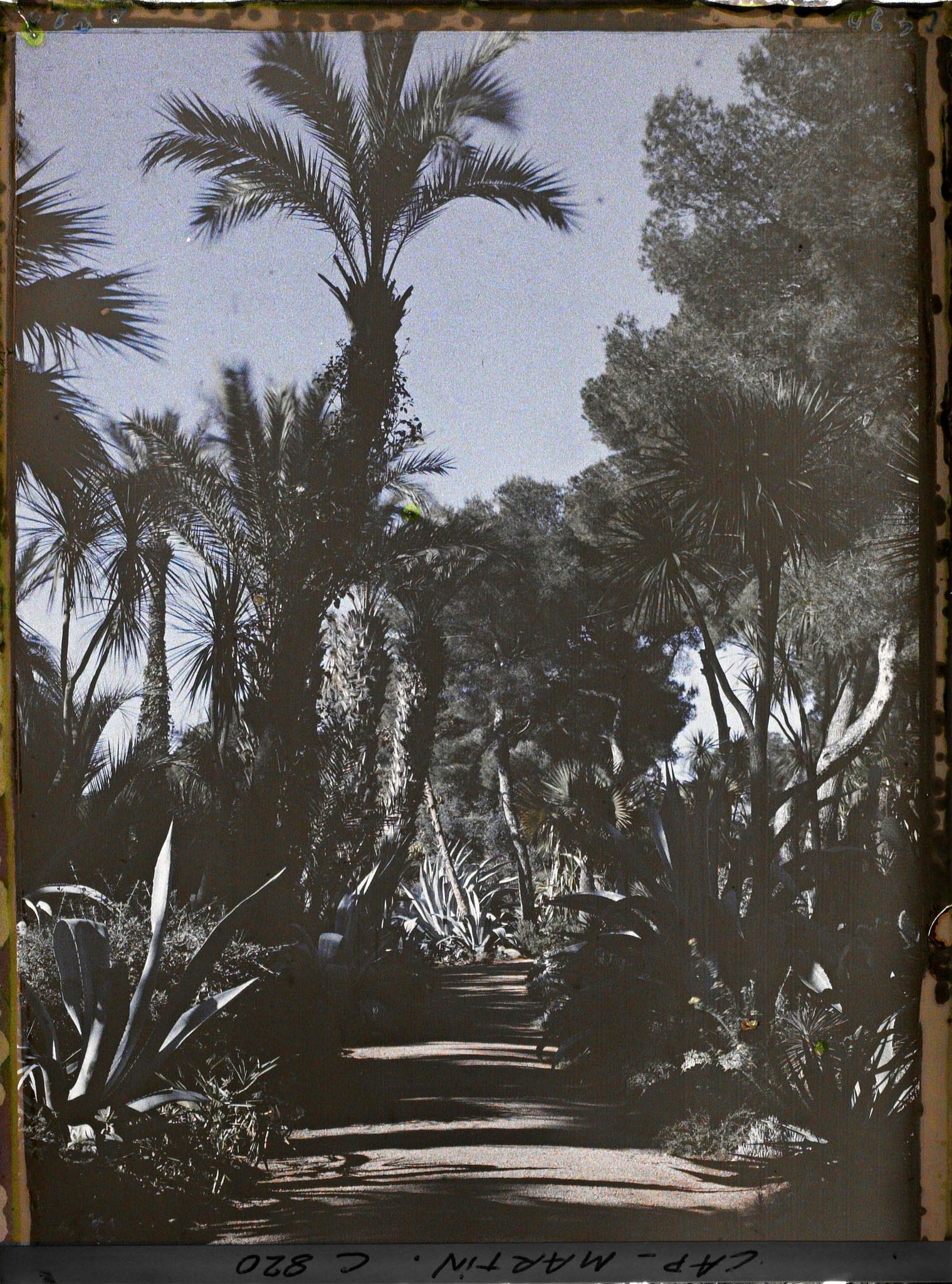 Image représentant Une allée du jardin