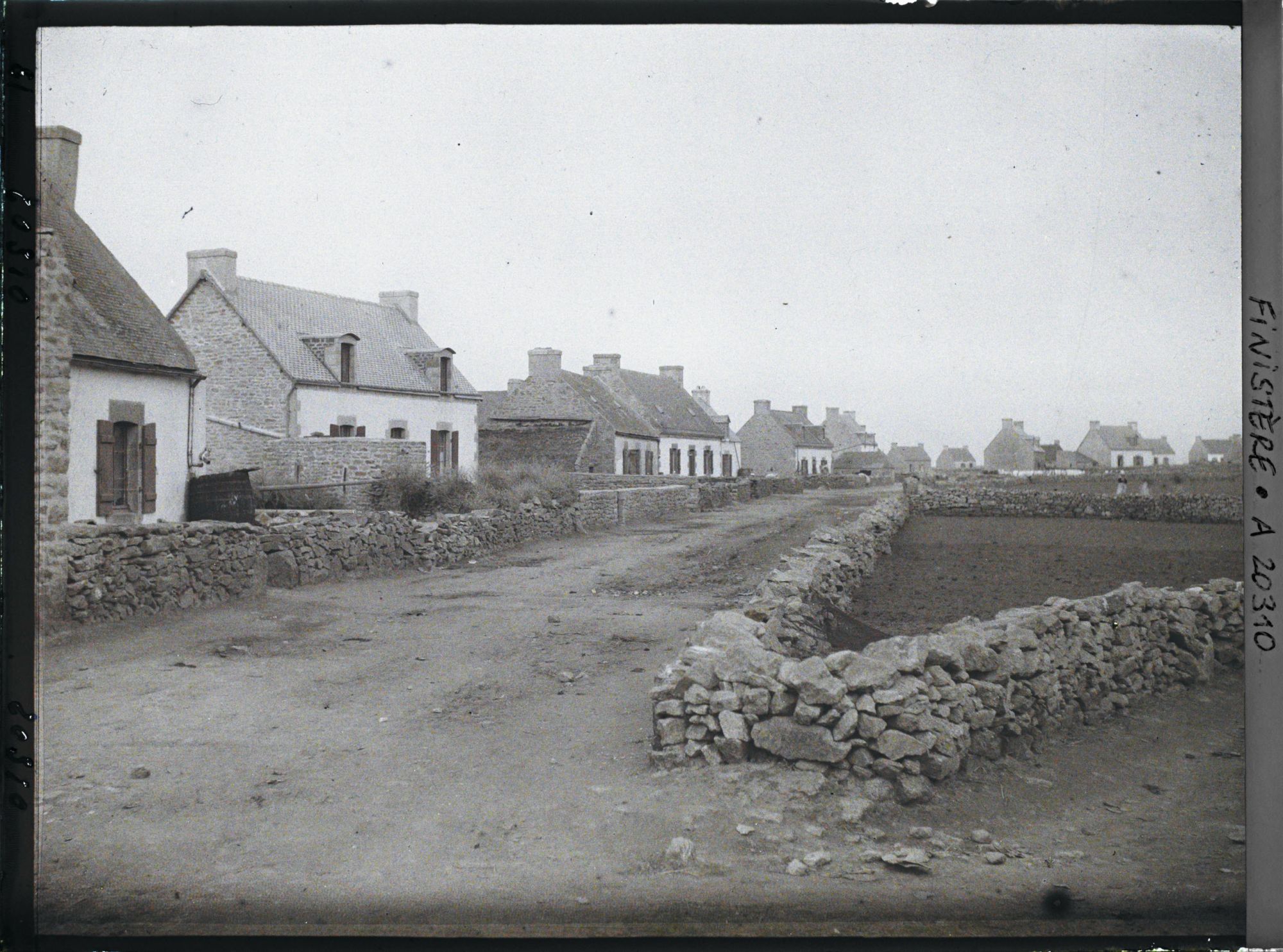 Image représentant Maisons vues du côté opposé à la mer et champ entouré de murets