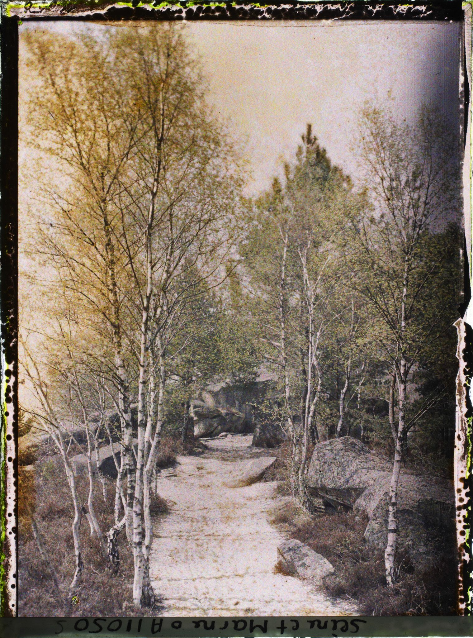 Image représentant France, Fontainebleau, Forêt de Fontainebleau