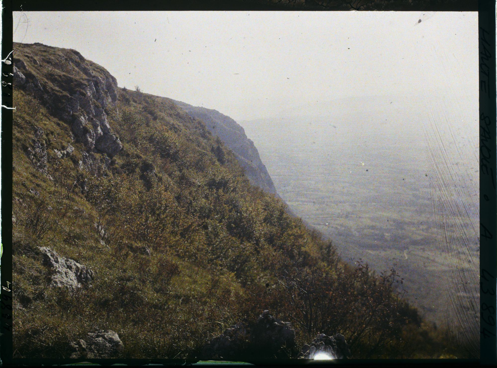 Image représentant France, Le Salève, Végétation et pentes Sud du Gd Salève