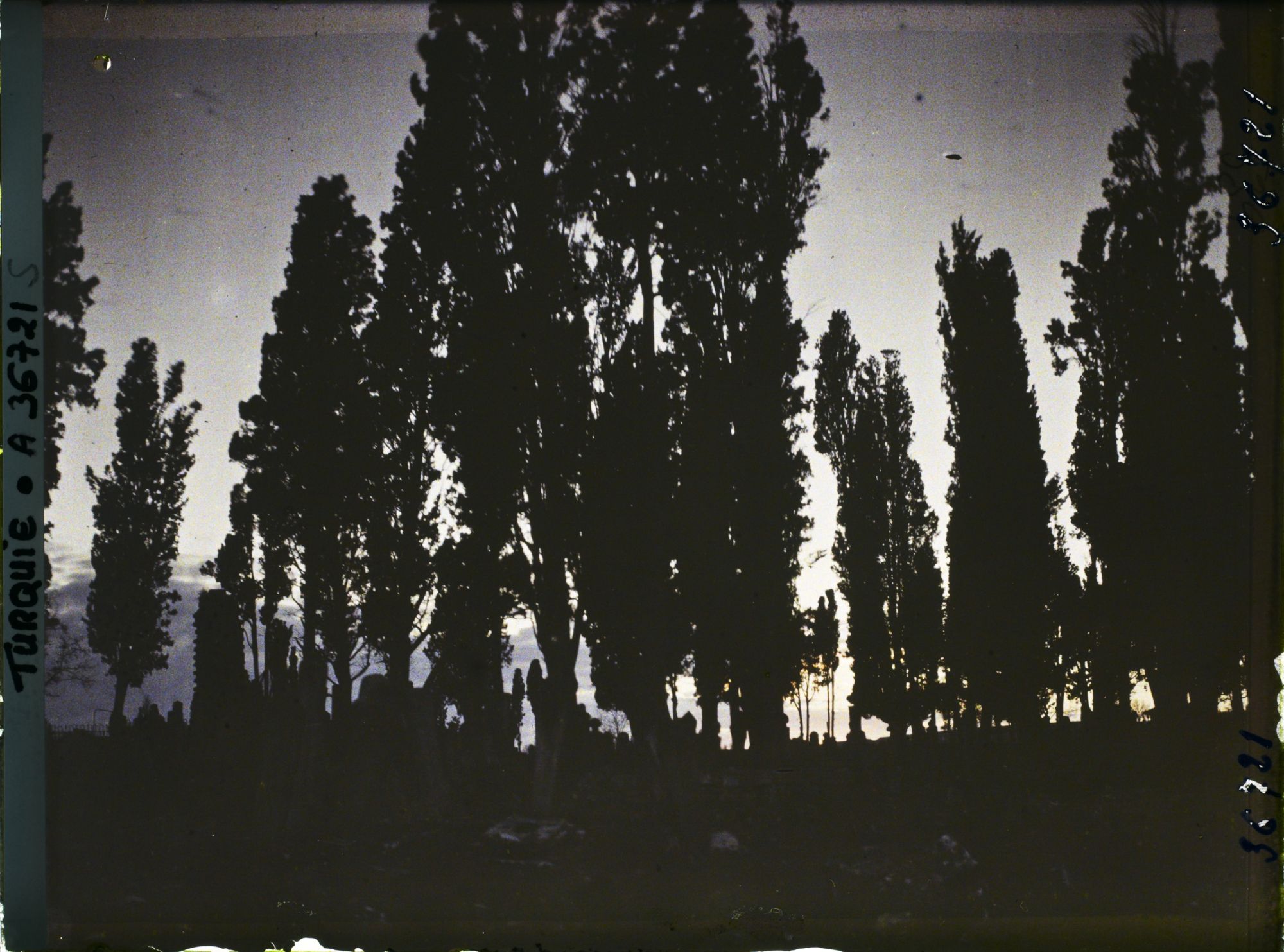 Image représentant Turquie, Constantinople, Soleil Couchant au Cimetière de Teckfour- Seraï