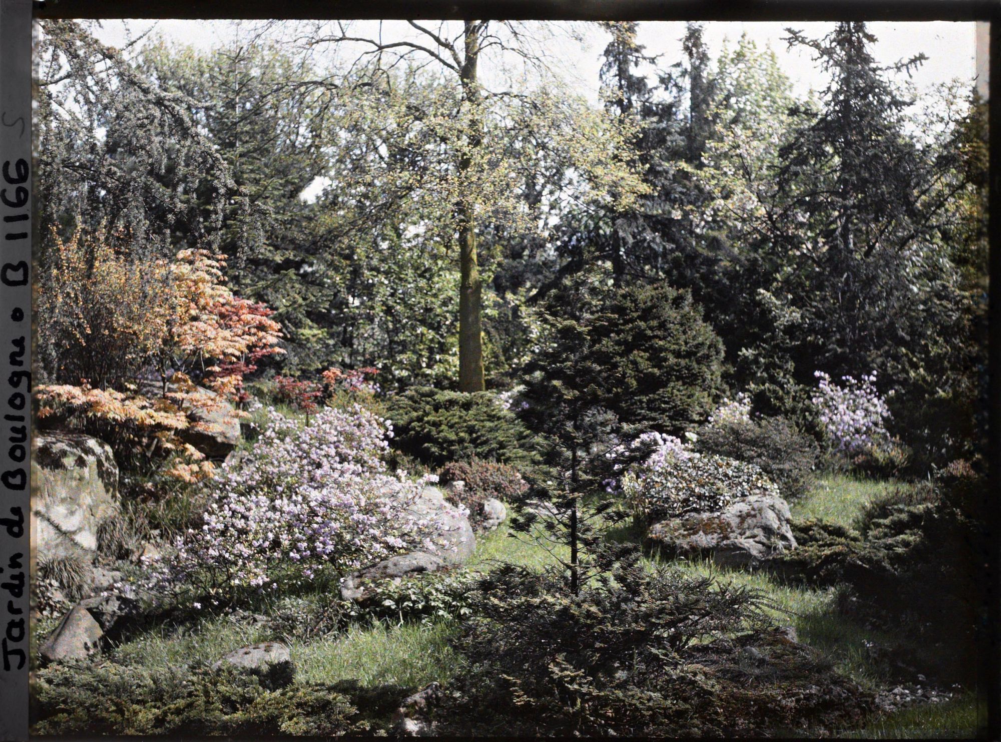 Image représentant Versant arboré face à la maison ouest du " village japonais ", situé à l'ouest du pavillon de thé