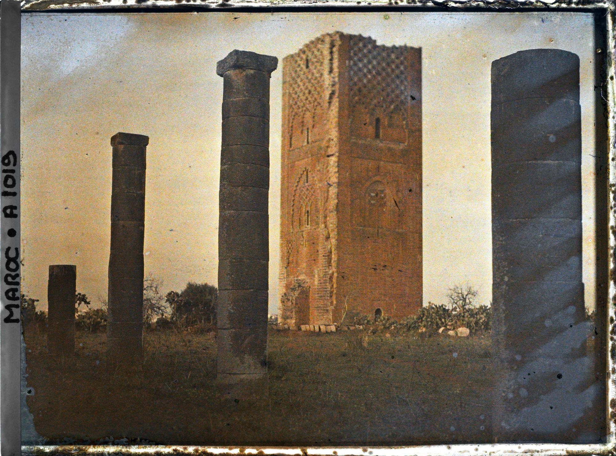 Image représentant La tour Hassan