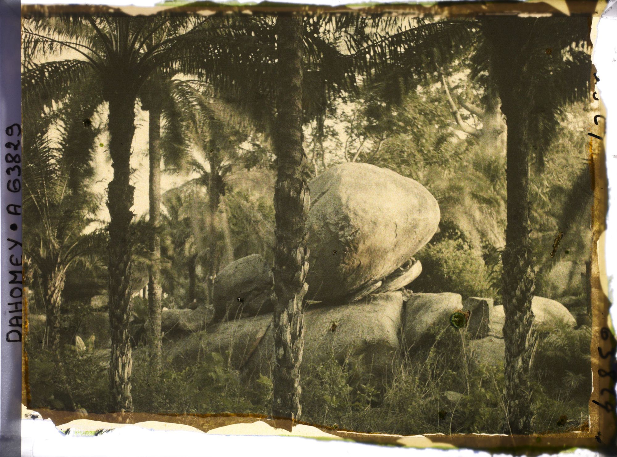 Image représentant Paysage montagneux d'éboulis rocheux