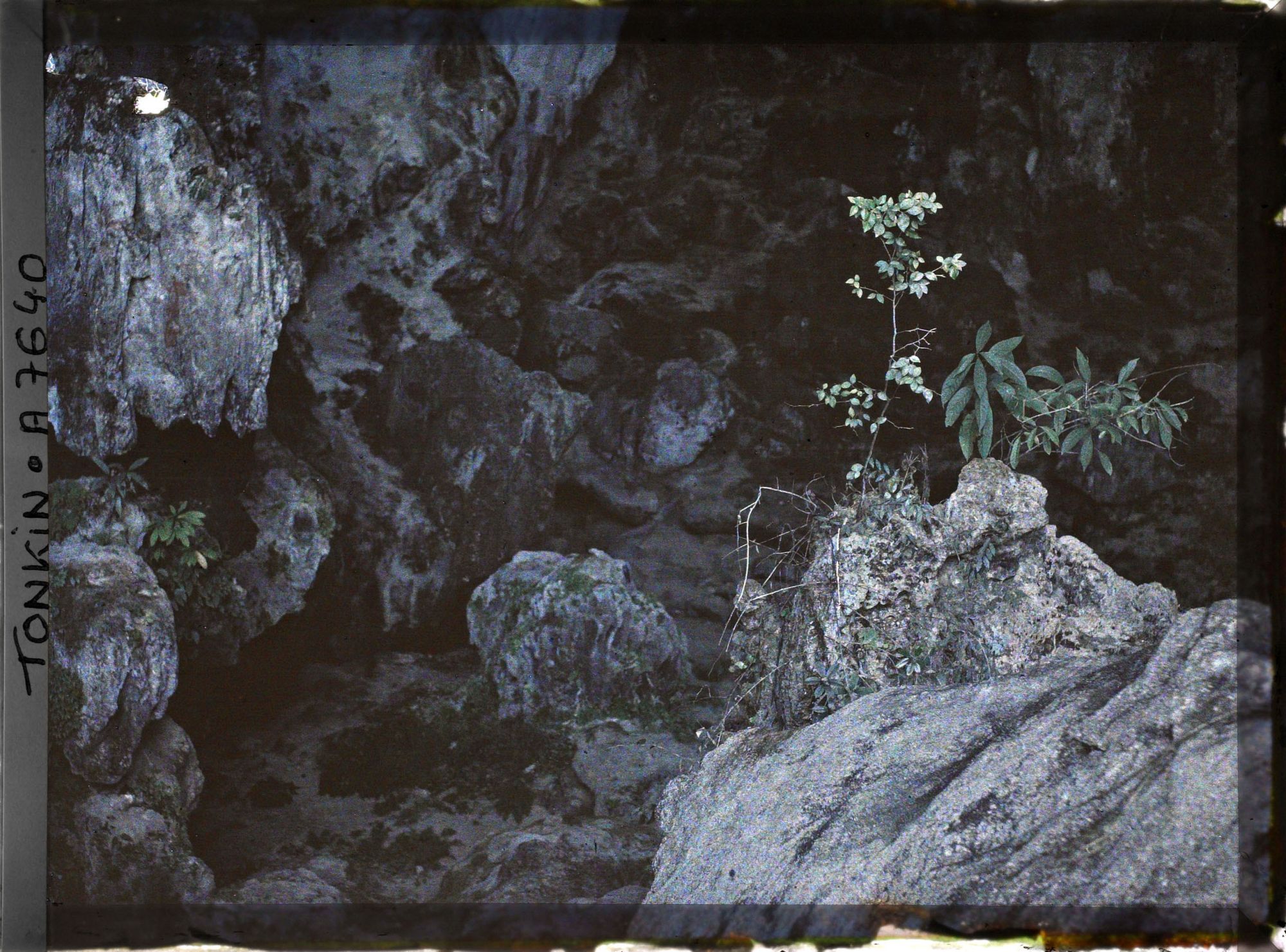 Image représentant L'intérieur de la " Grotte des Merveilles "