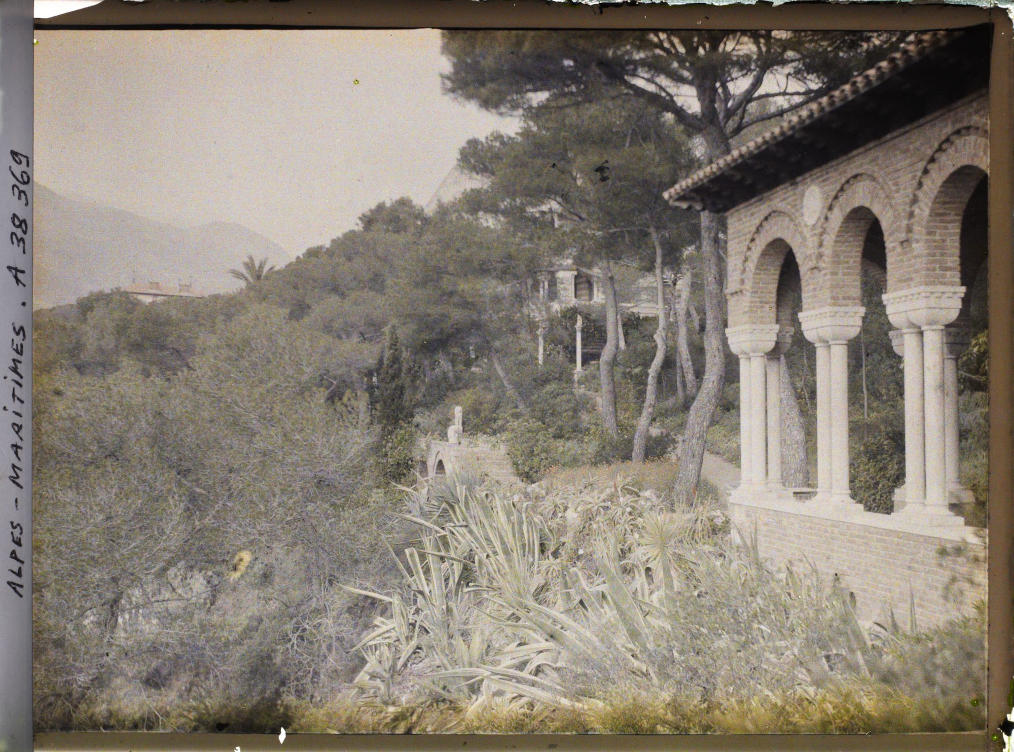 Image représentant Galerie byzantine du jardin de la villa Cypris, vue vers le nord-ouest