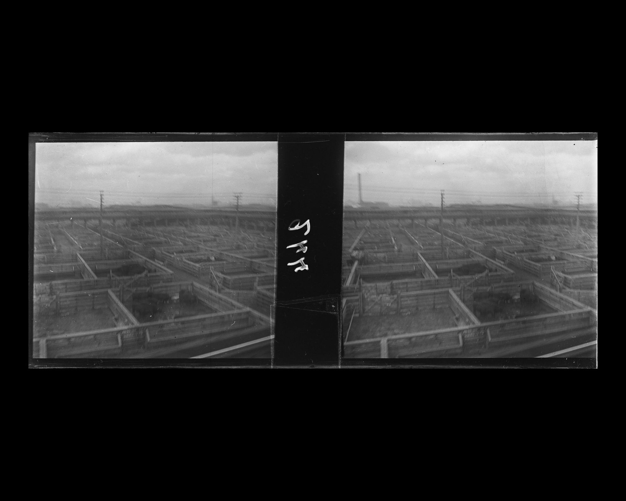 Image représentant Vue de l'Union Stock Yards et des enclos à bestiaux de l'Armour Company