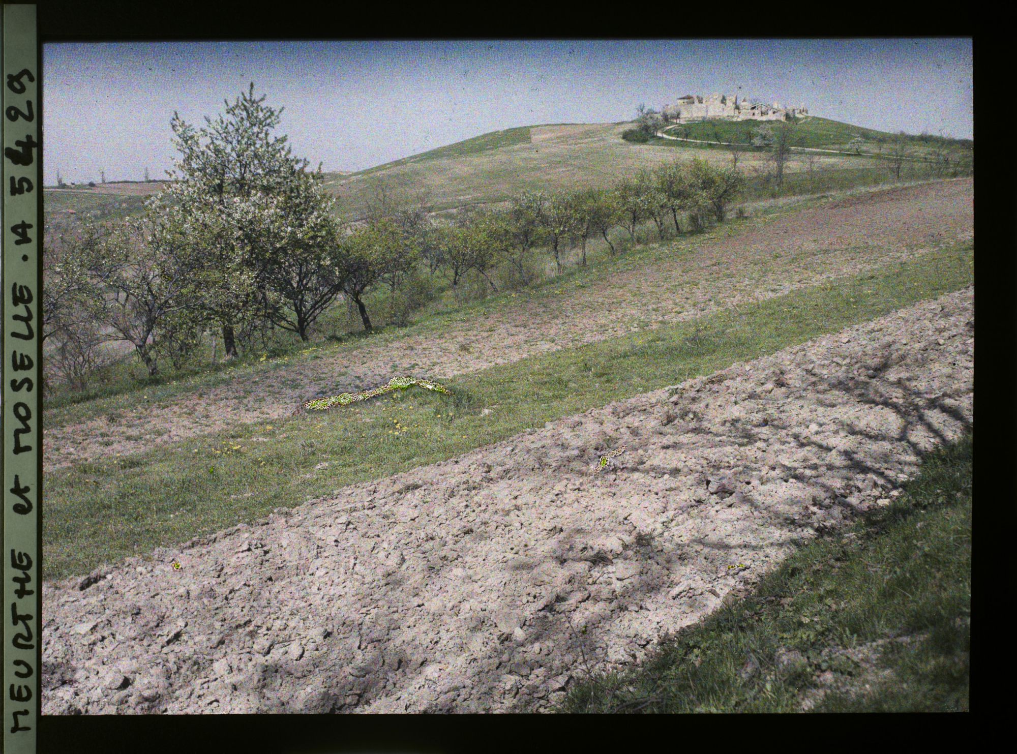 Image représentant France, Léomont, Ferme de Léomont, vue d'ensemble