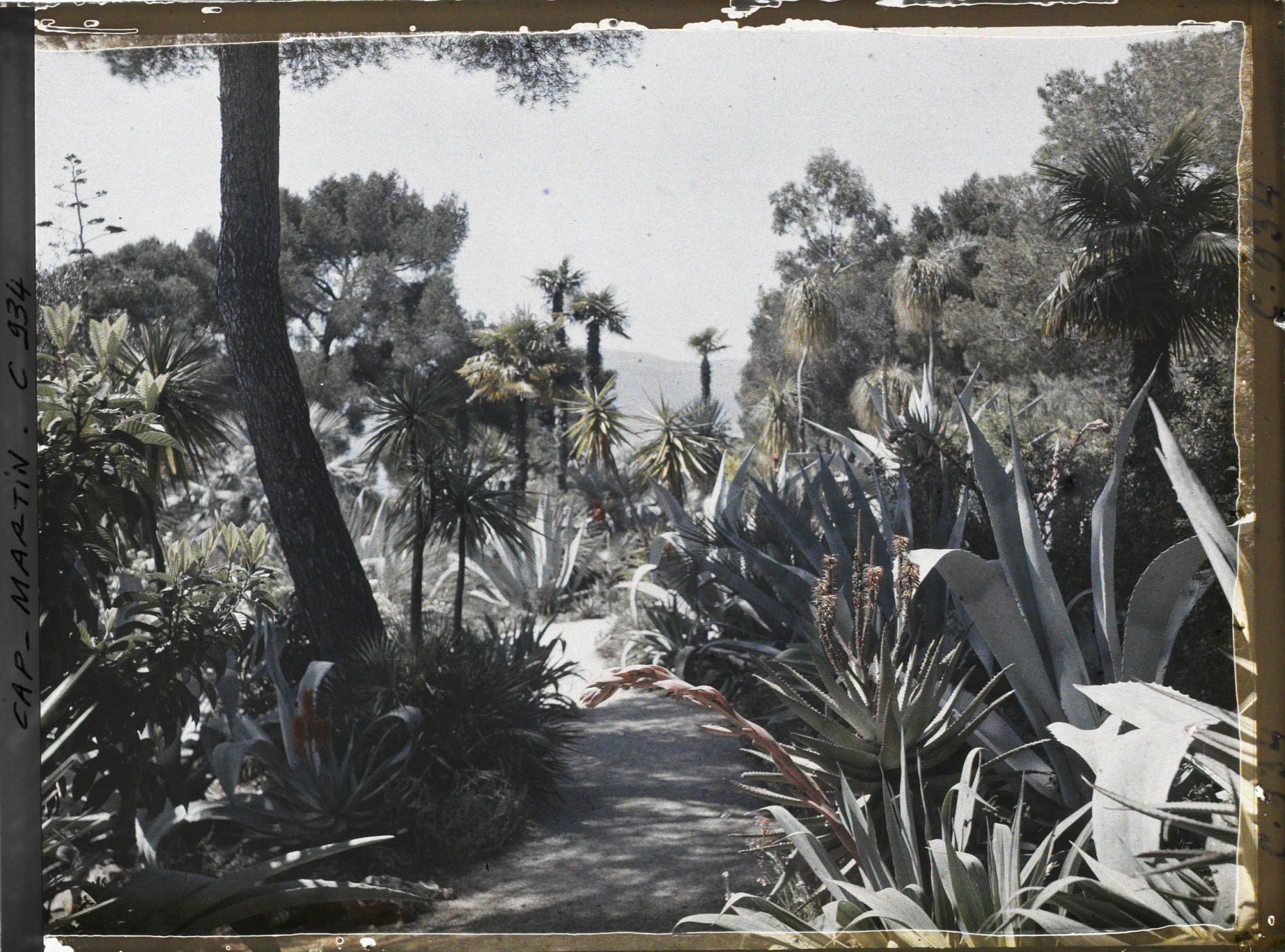 Image représentant Le Jardin