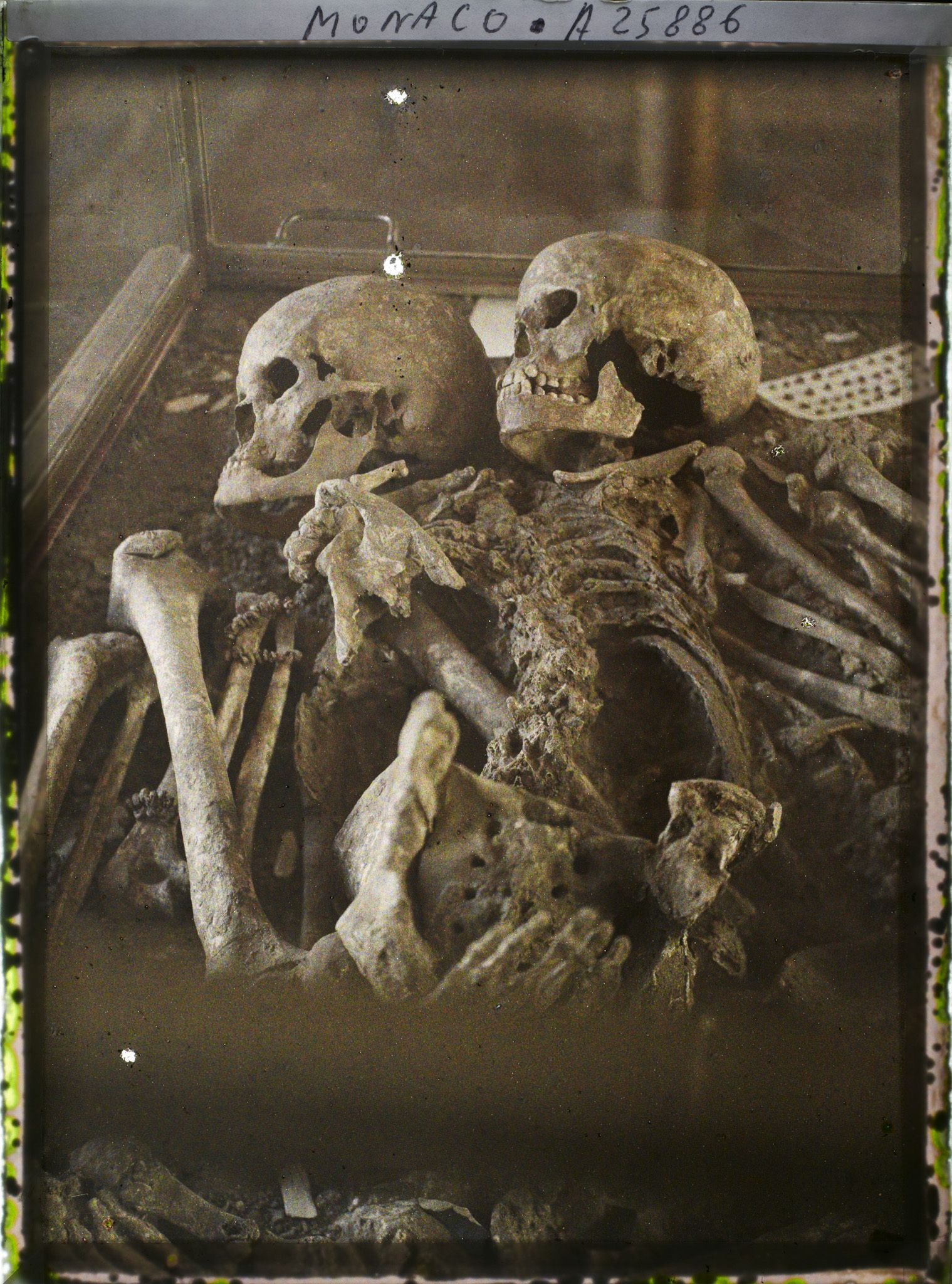 Image représentant Squelettes d'une vieille femme et d'un jeune homme, Grotte des Enfants