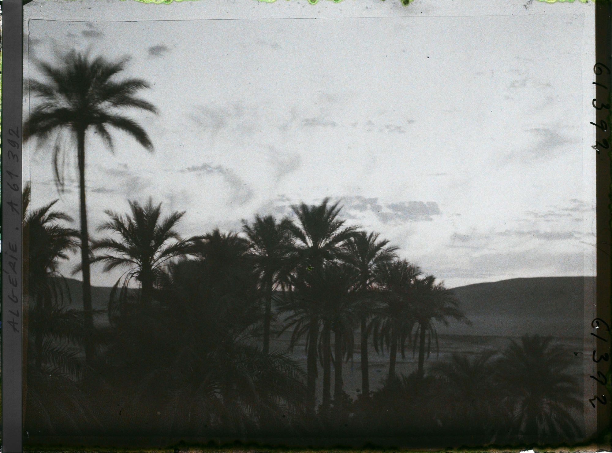 Image représentant Coucher de soleil sur la palmeraie