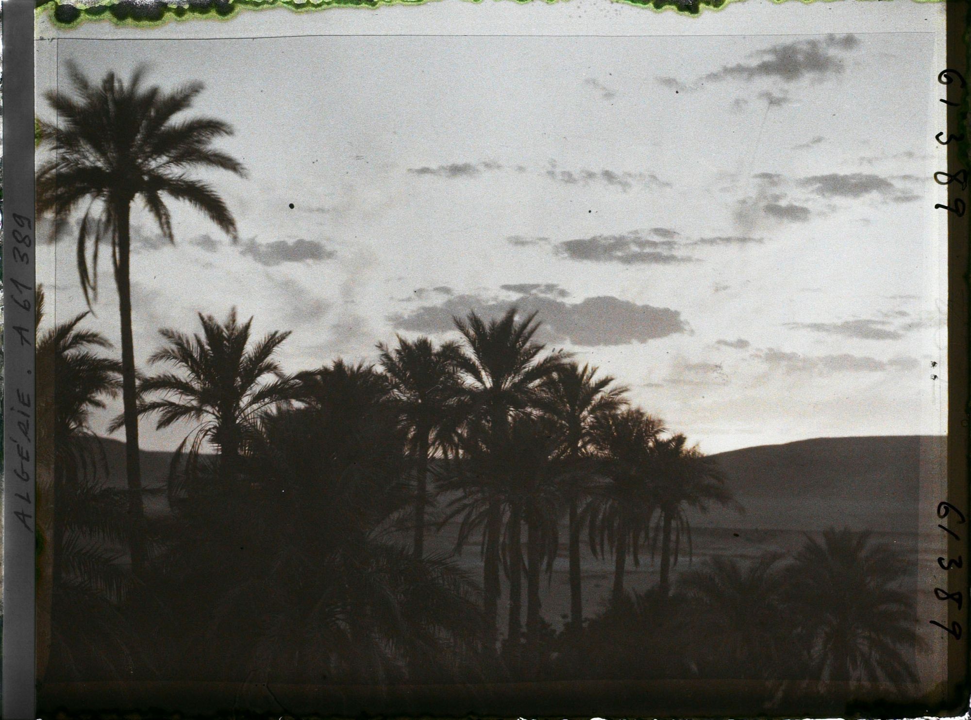 Image représentant Coucher de soleil sur la palmeraie