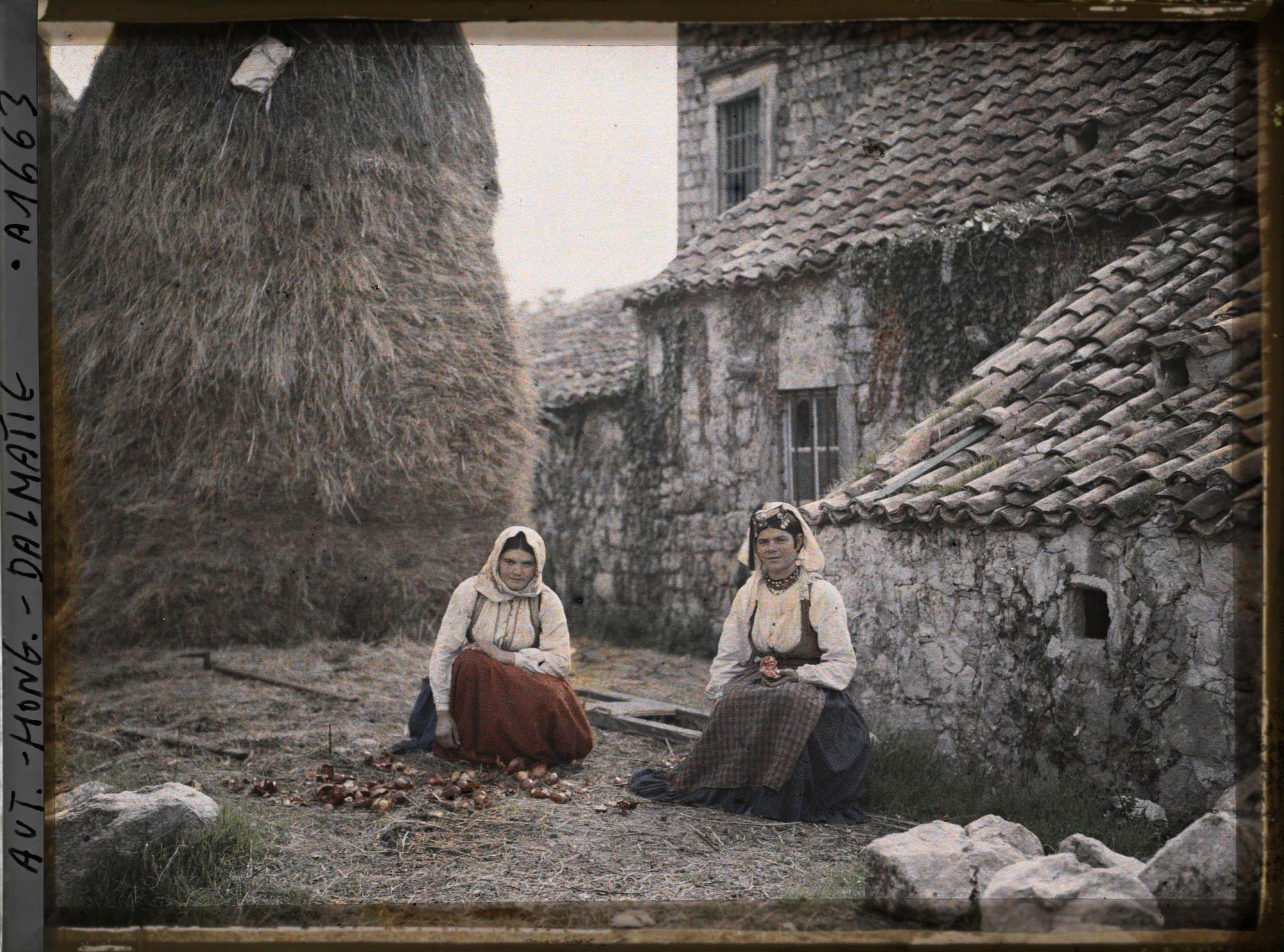 Image représentant Femmes mangeant des grenades