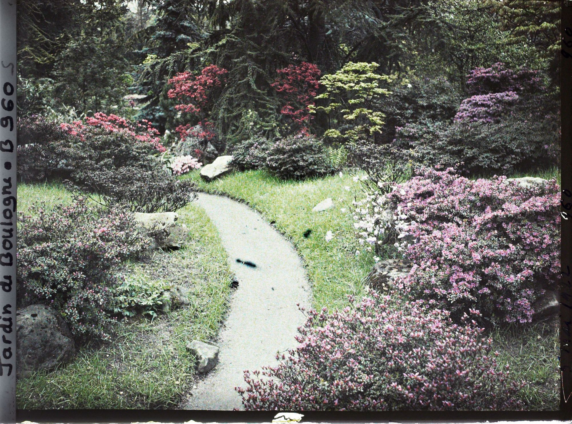 Image représentant Chemin du " sanctuaire japonais " bordé d'érables et d'azalées, à la sortie du " village japonais "