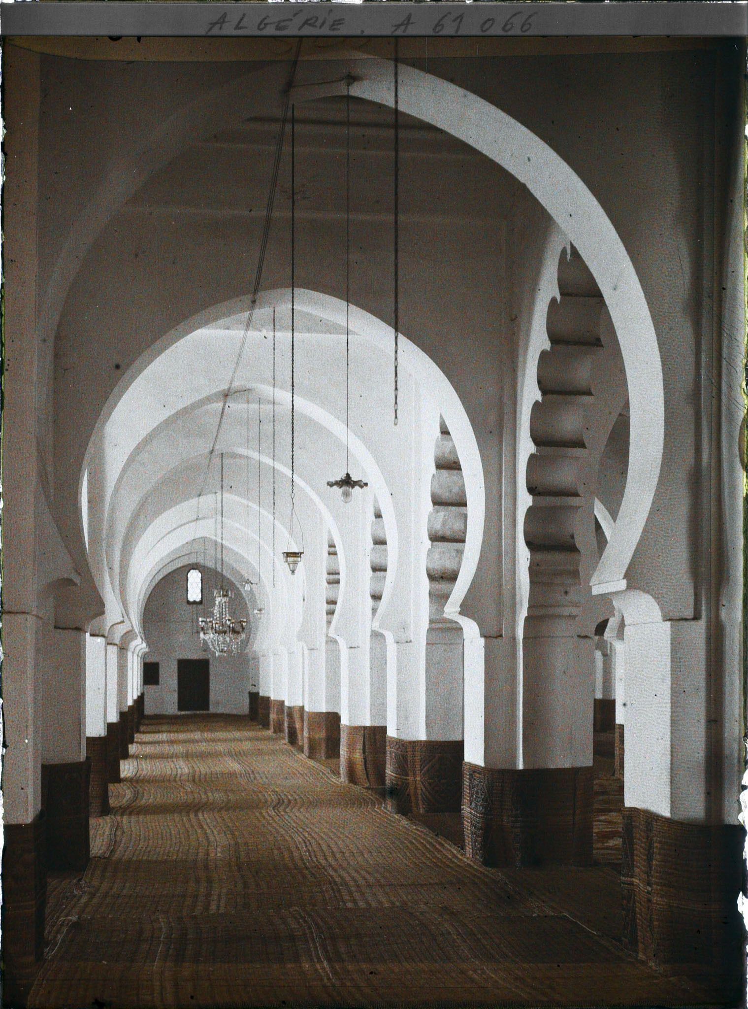 Image représentant La salle de prière de la grande mosquée