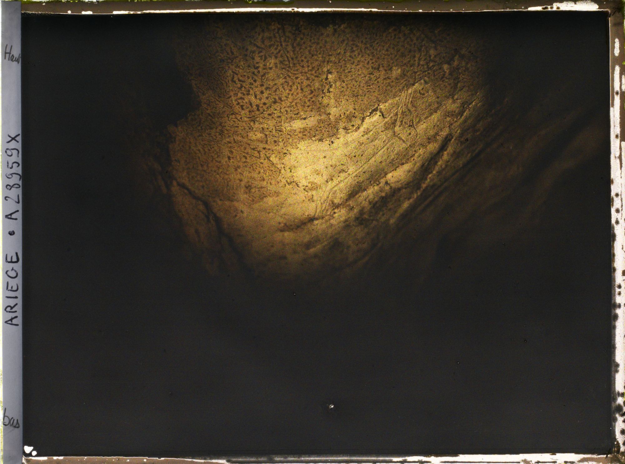 Image représentant La grotte des Trois-Frères : l'hémione