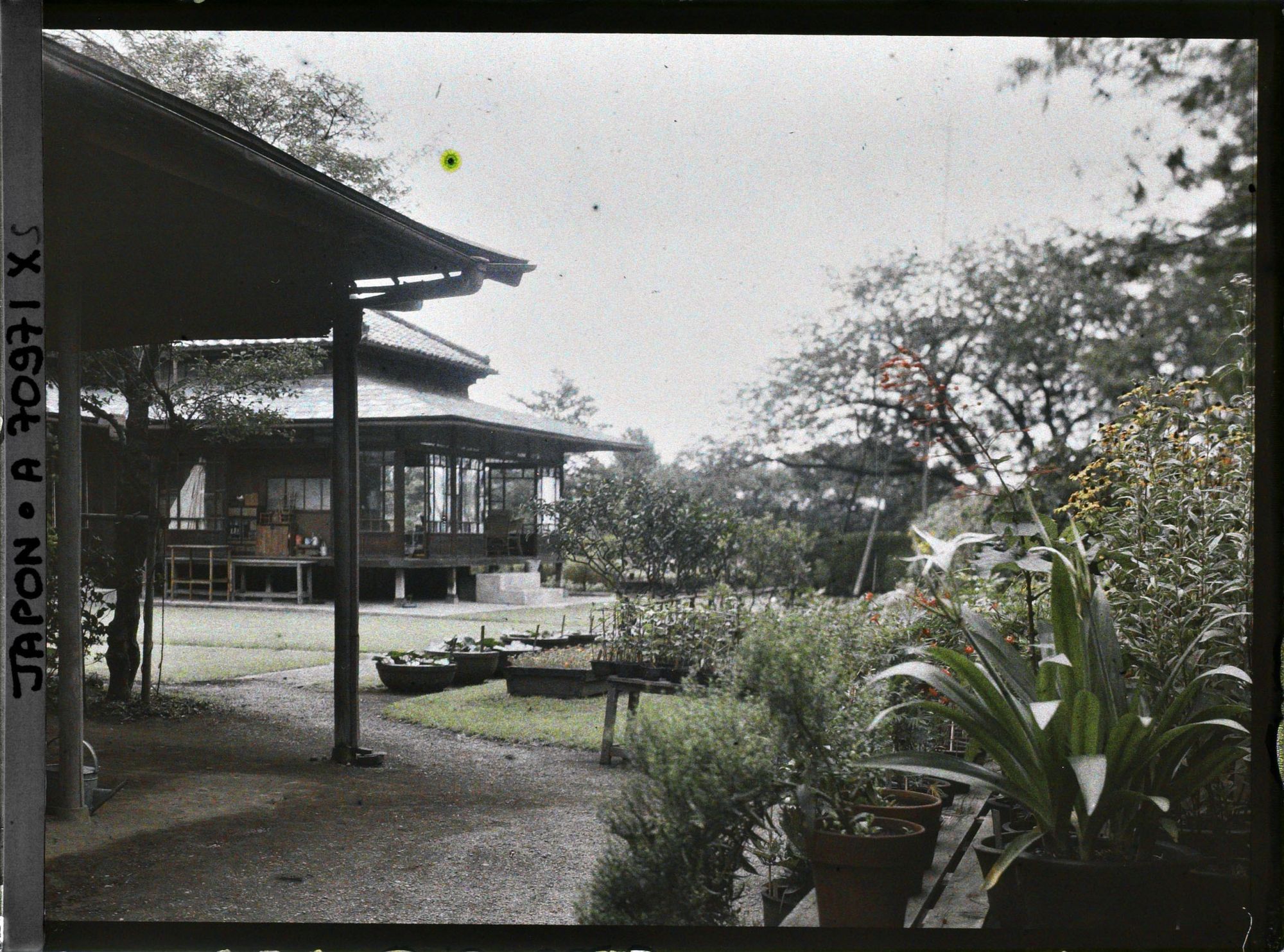 Image représentant Résidence Kitashirakawa (?) ou pépinière