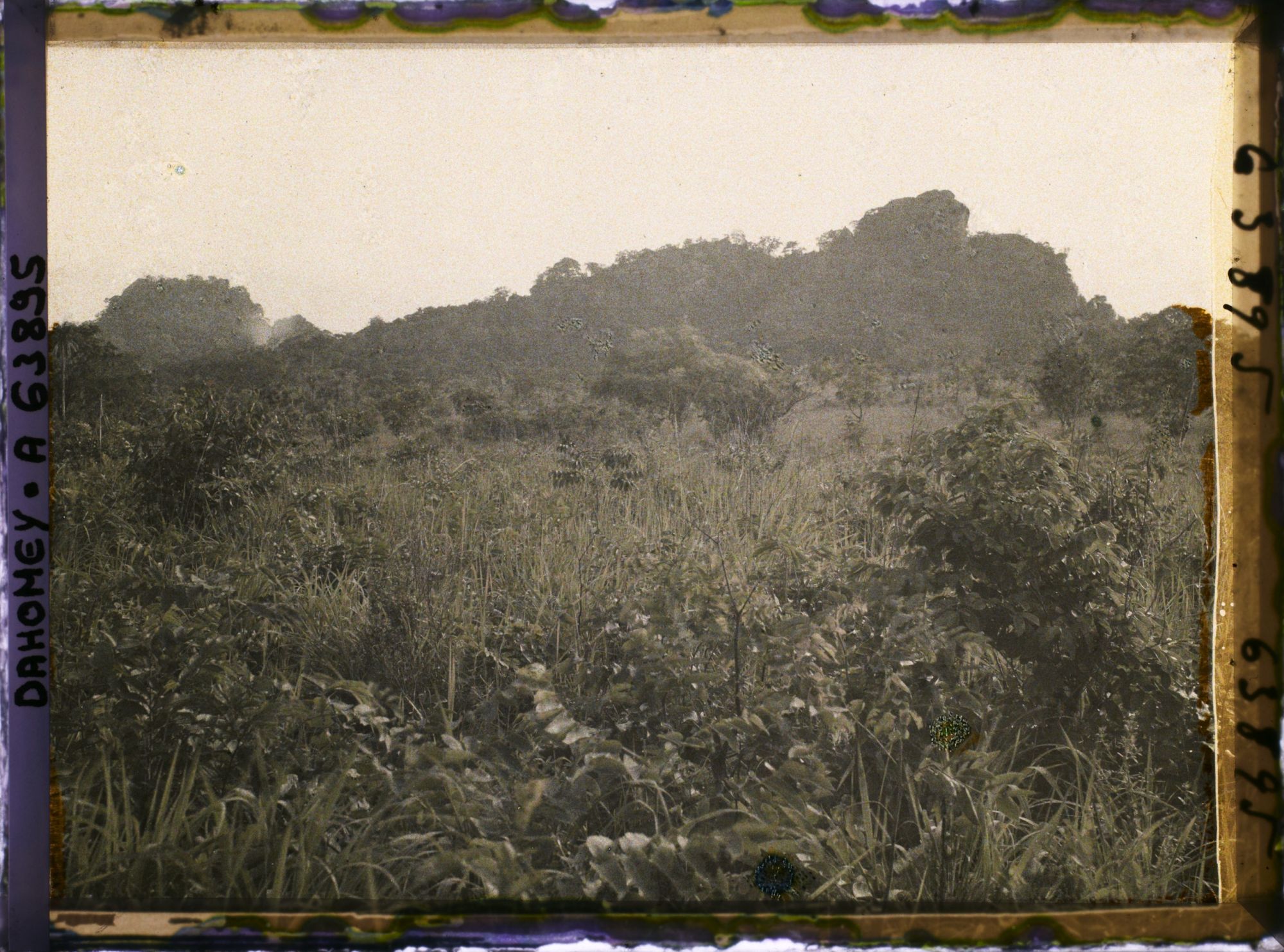 Image représentant Paysage vers les montagnes