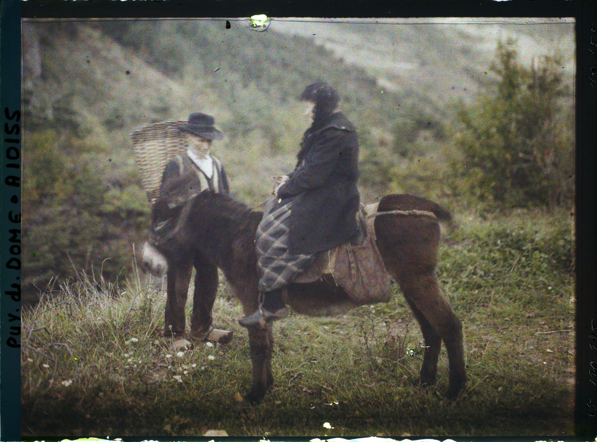 Image représentant France, Vieille femme à l' âne