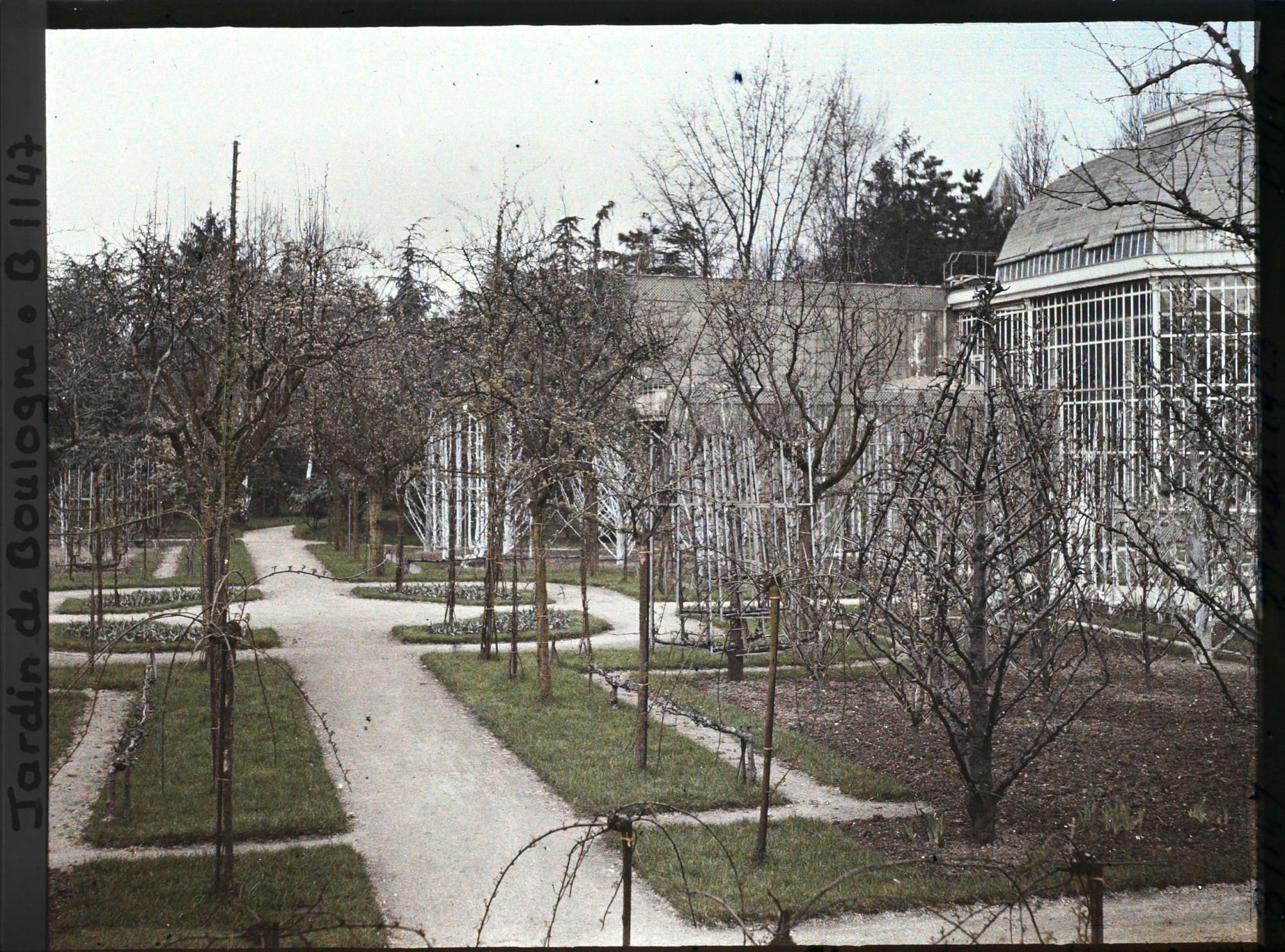 Image représentant Partie est du verger-roseraie en début de printemps, traversée par une allée menant à la forêt bleue