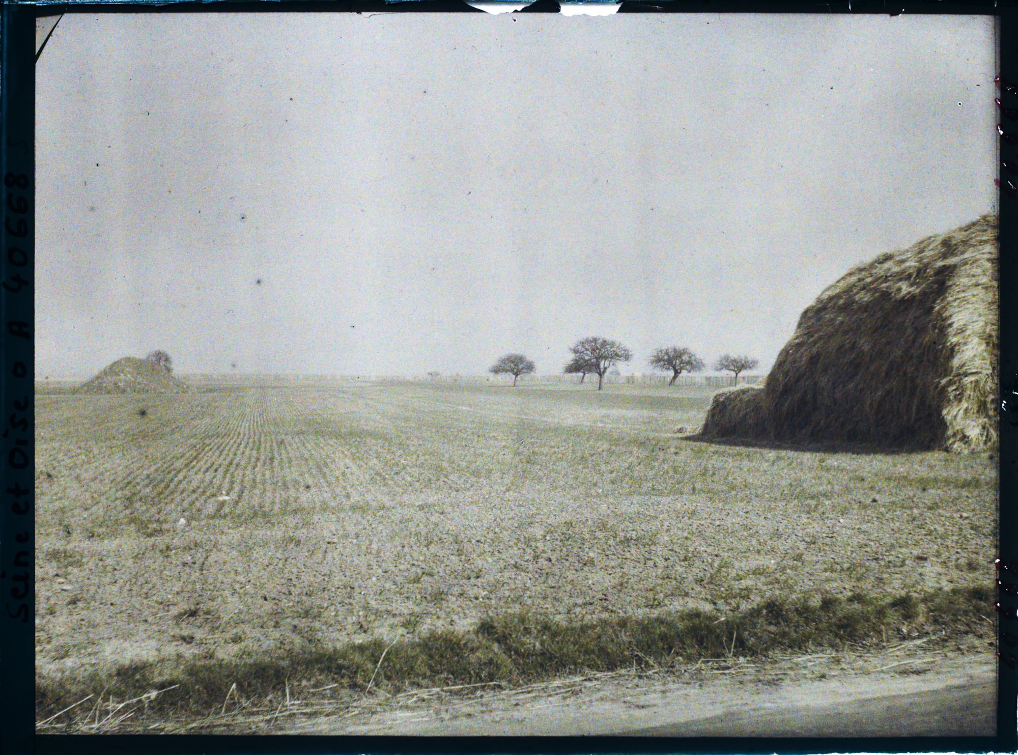 Image représentant France, Les Clayes, Champs de blé sur la route de Neauphle le Chau