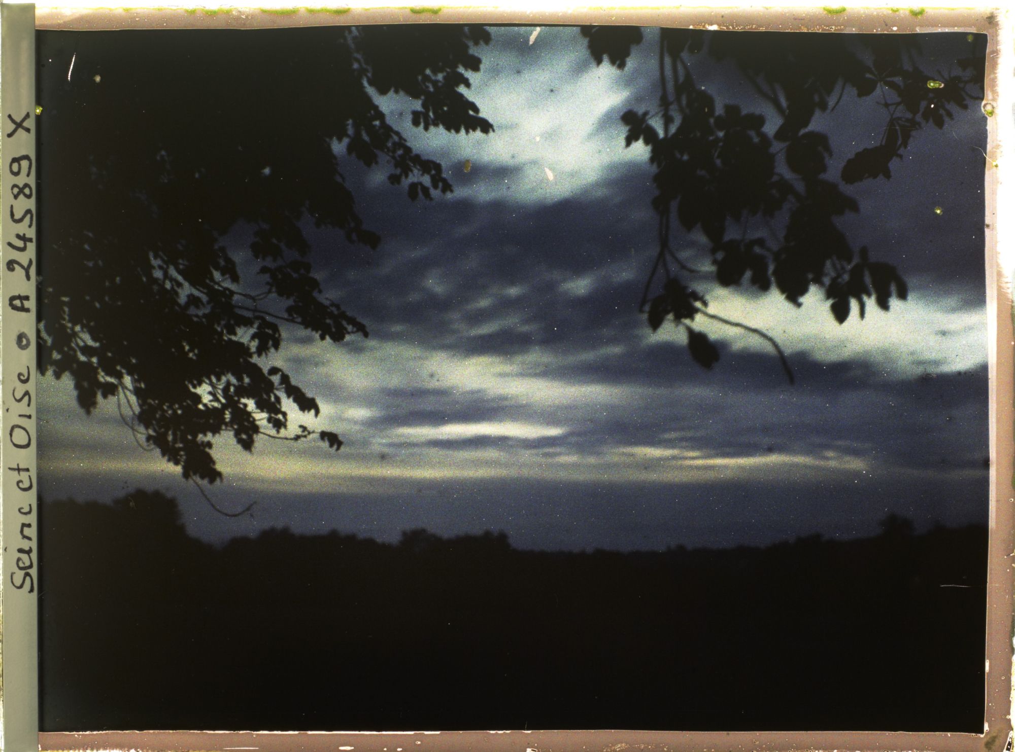 Image représentant Lever de soleil dans le parc