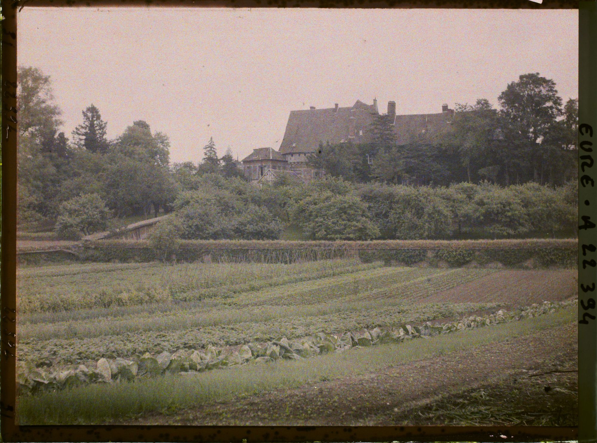 Image représentant Le Château de Neubourg vu des jardins