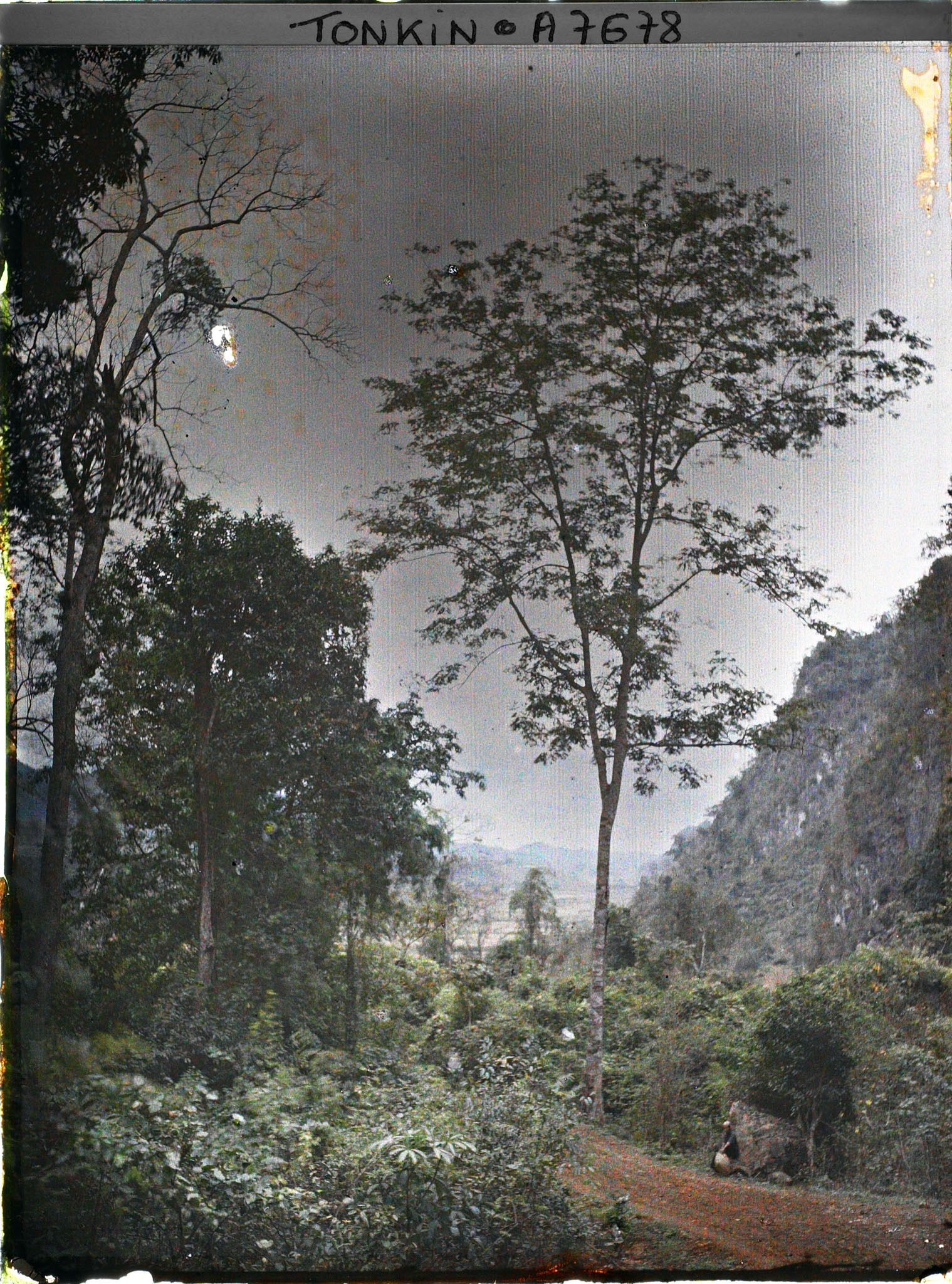 Image représentant Paysage sur les pentes du massif de Bac-so'n (ou massif de Cai-binh)