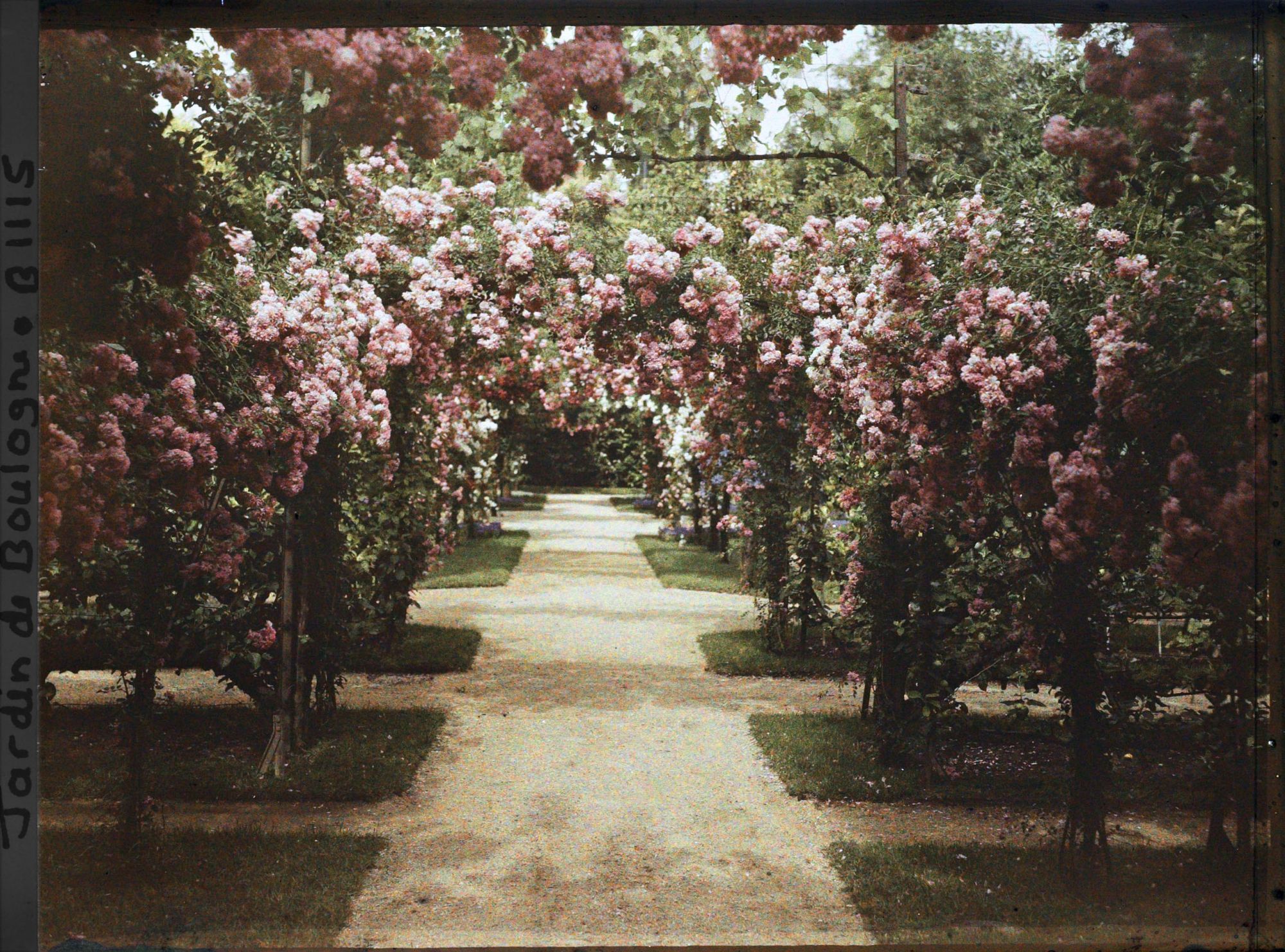 Image représentant Axe central du verger-roseraie vu à mi-parcours, en direction de la dépendance